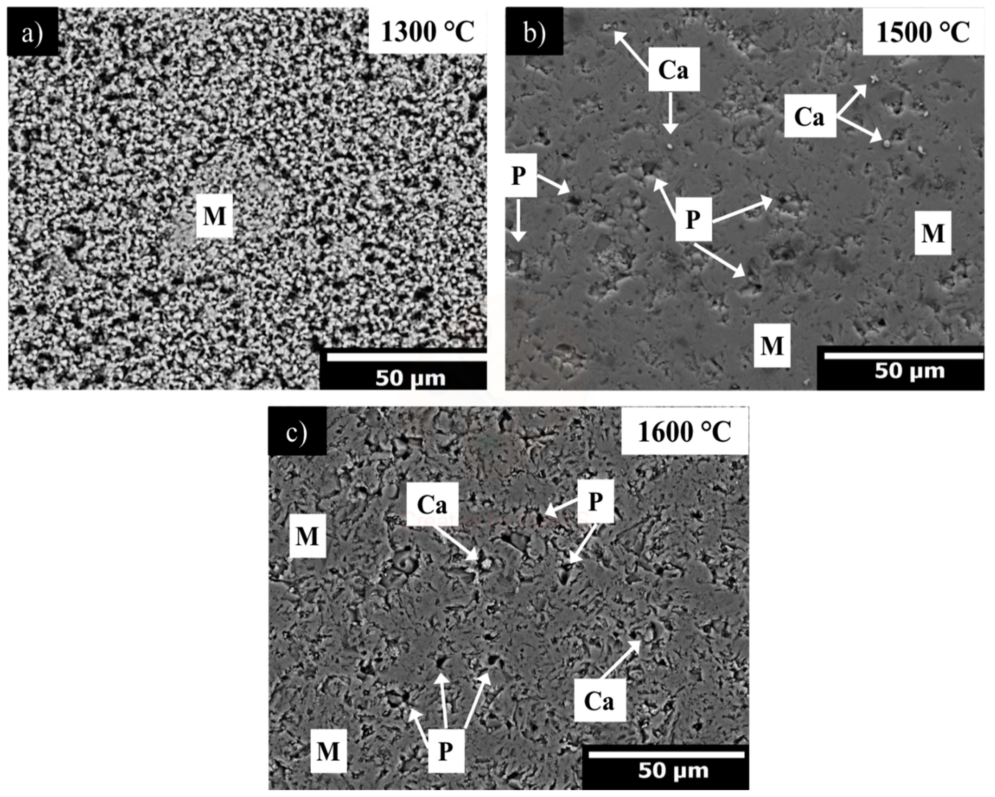 Materials 13 00715 g005 Materials 13 00715 g005