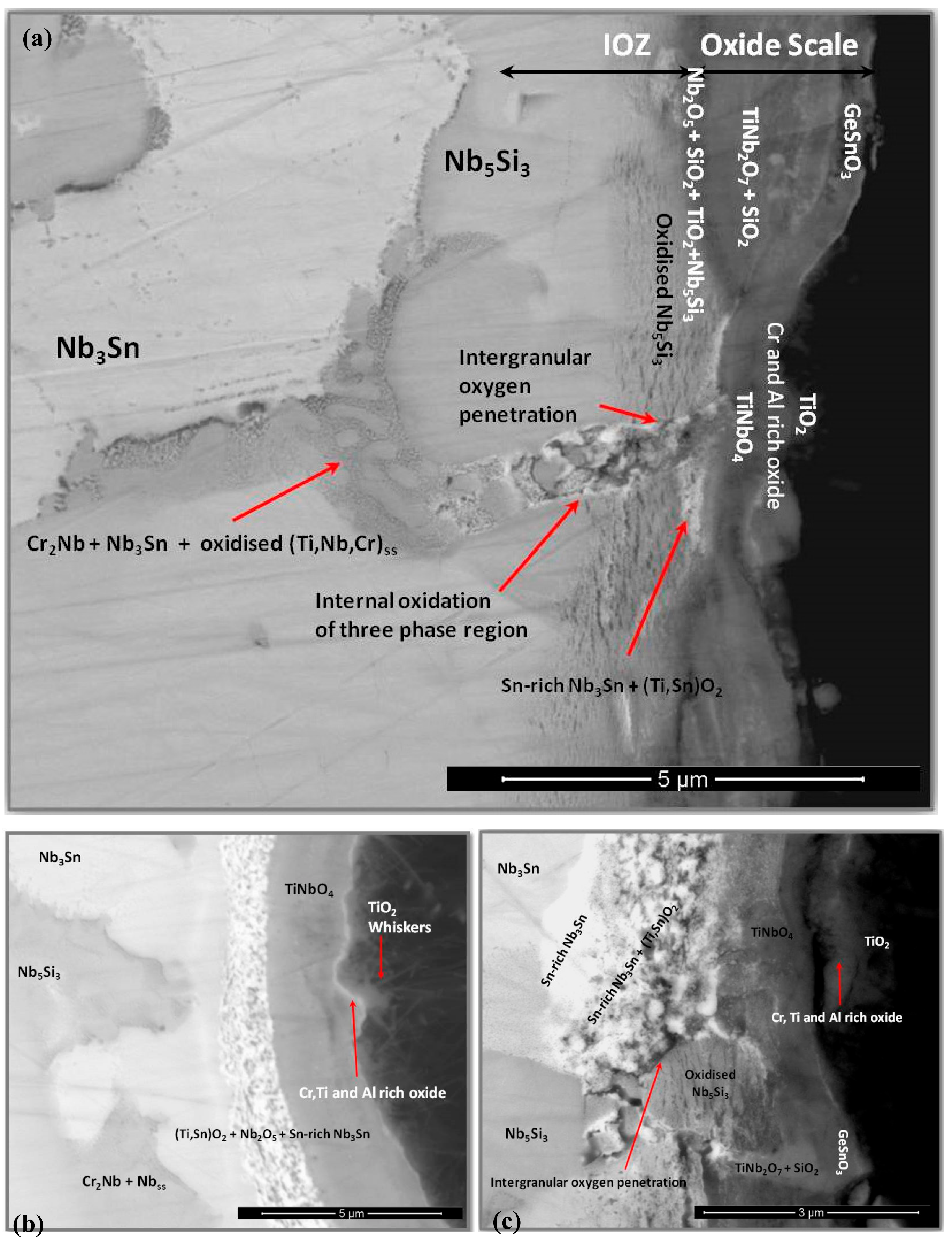 Materials 13 00722 g008