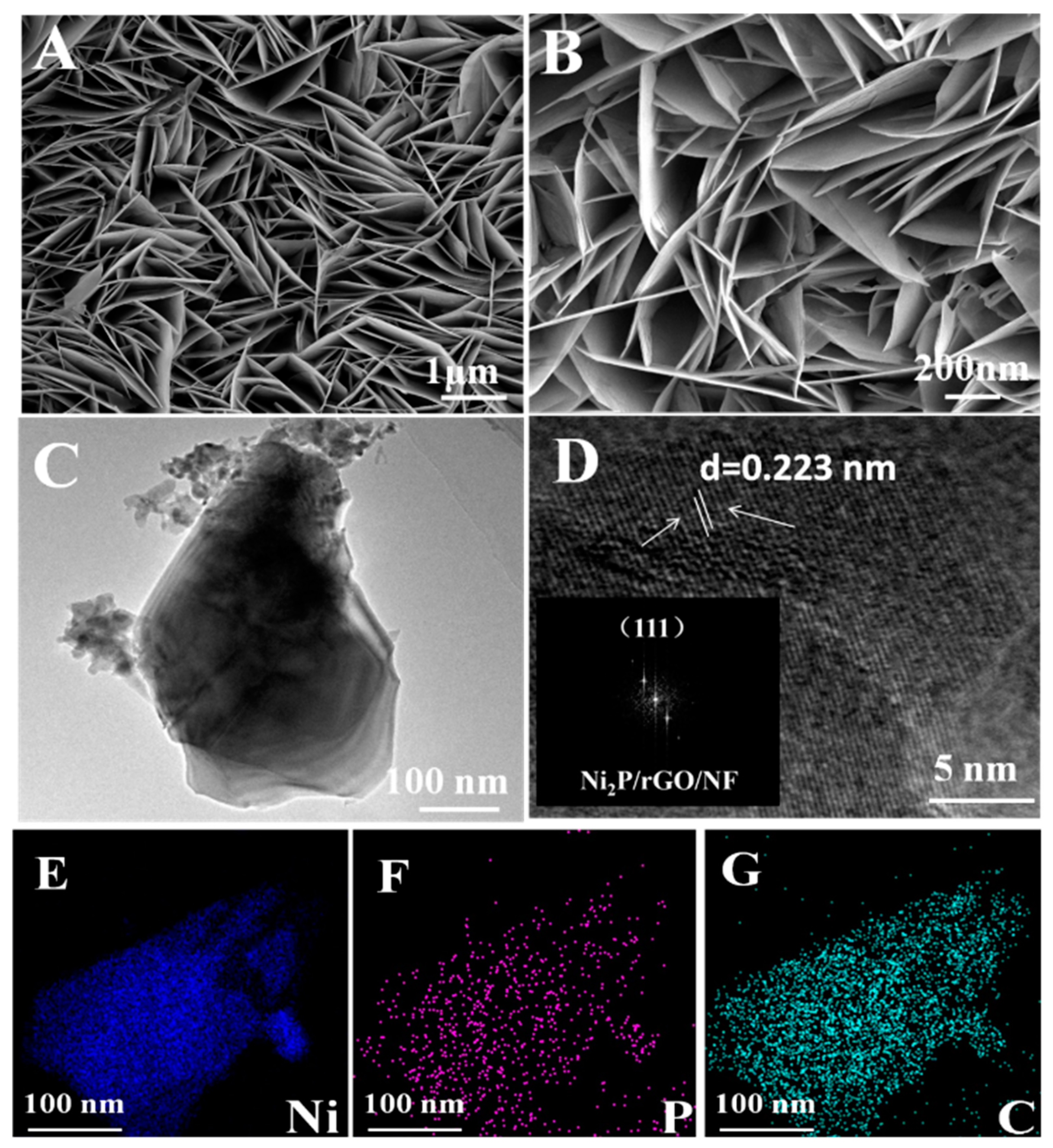 Materials 13 00744 g004