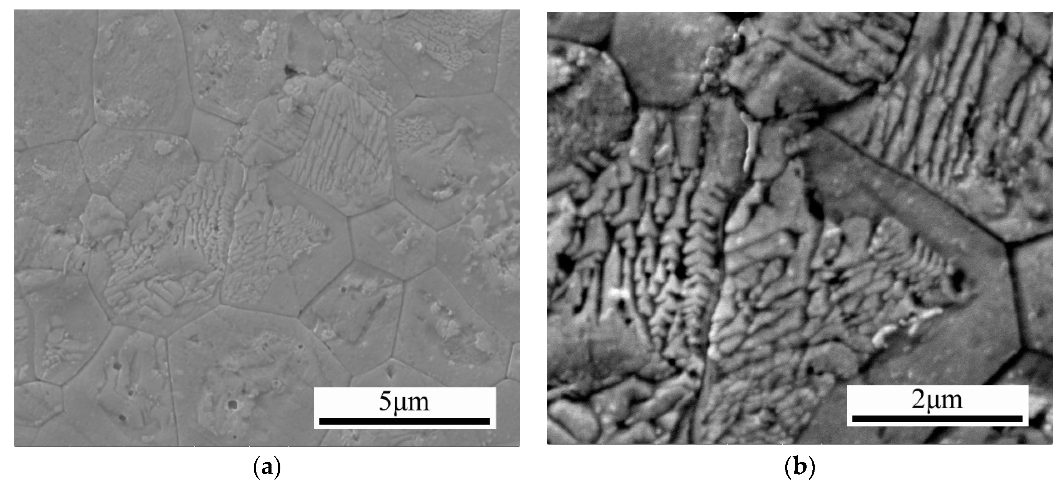 Materials 13 00984 g006a