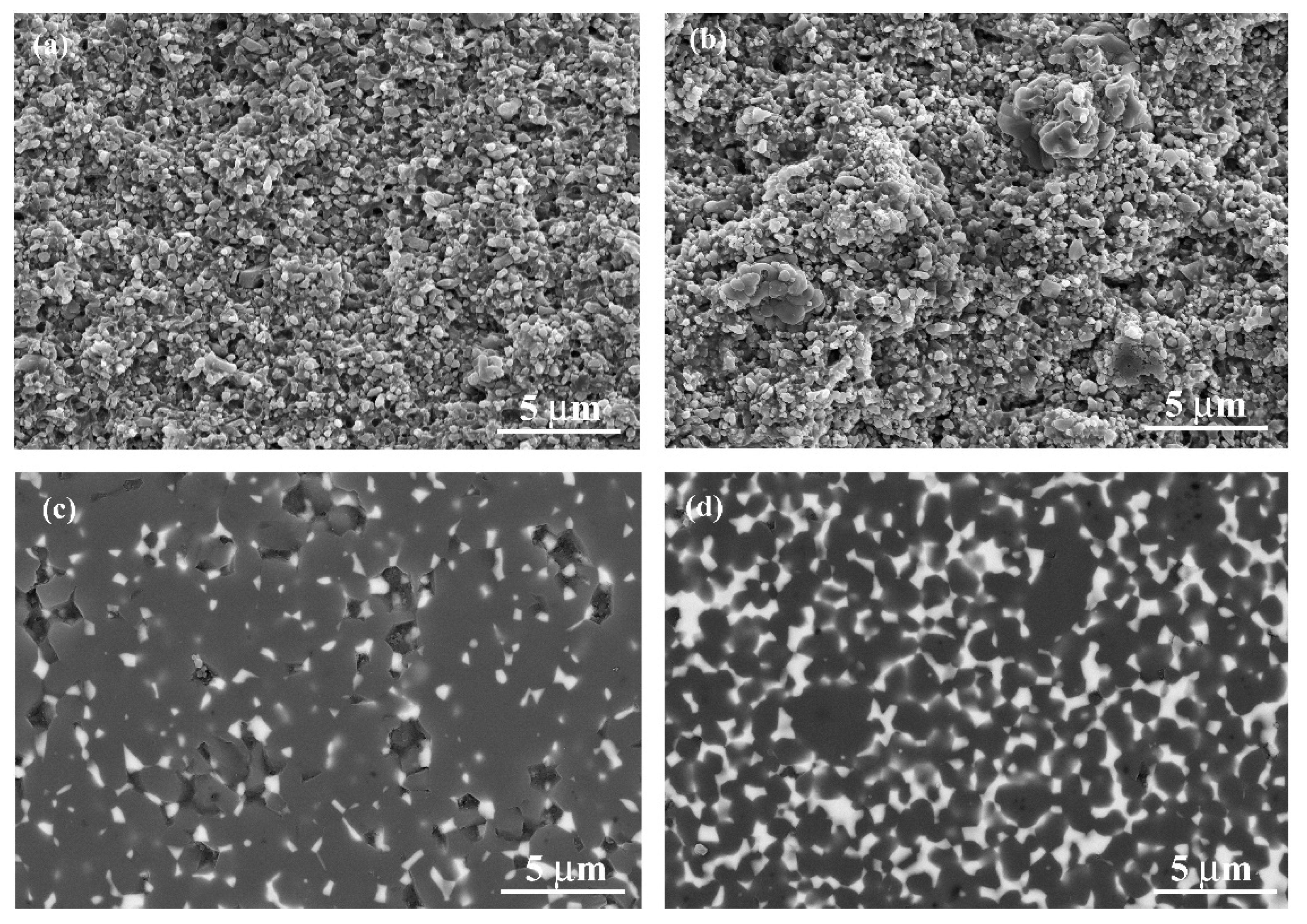 Materials 13 01006 g001 Materials 13 01006 g001