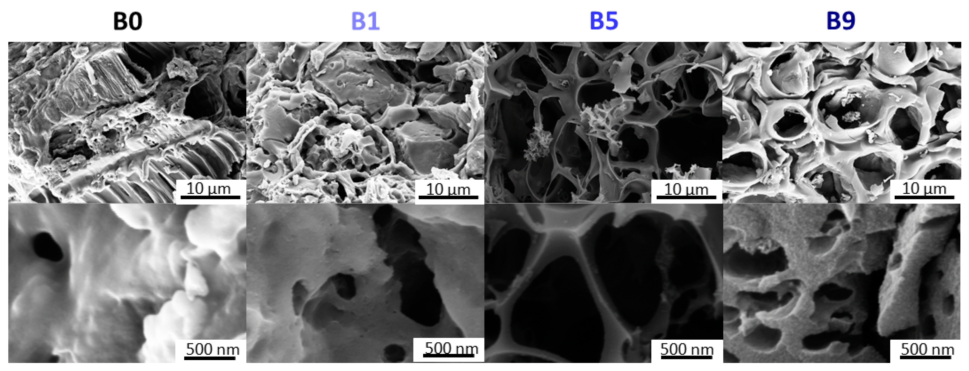 Materials 13 01016 g002
