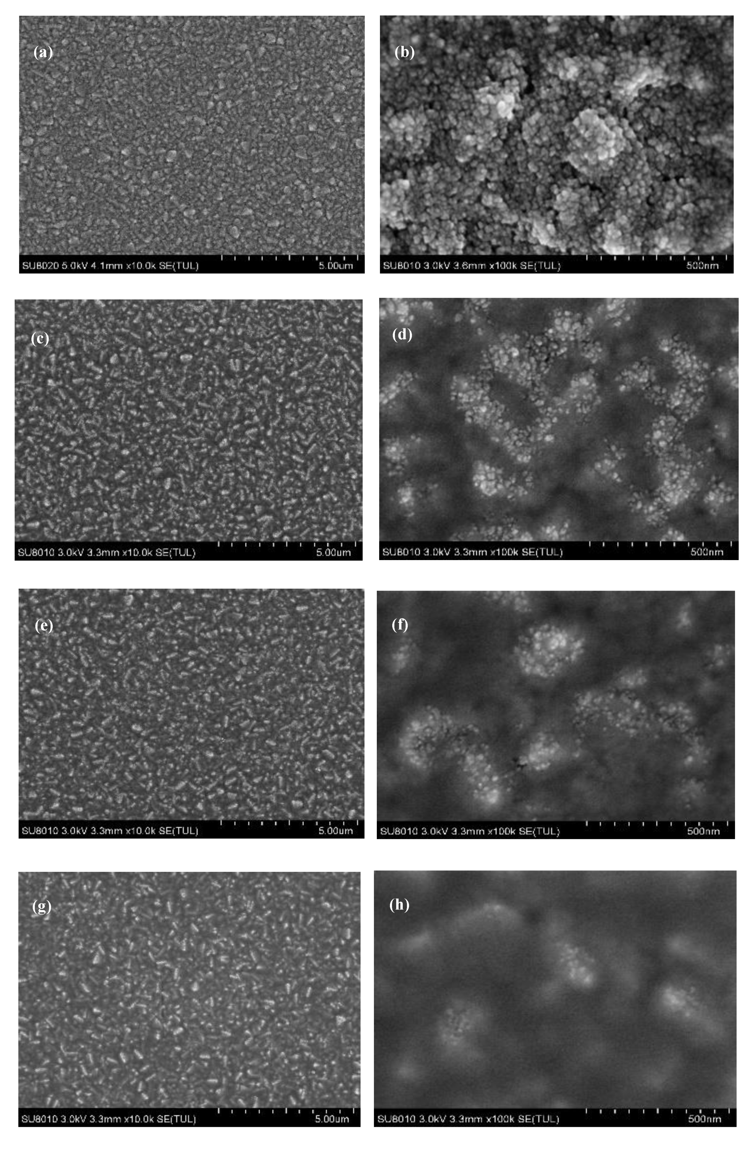 Materials 13 01031 g004a