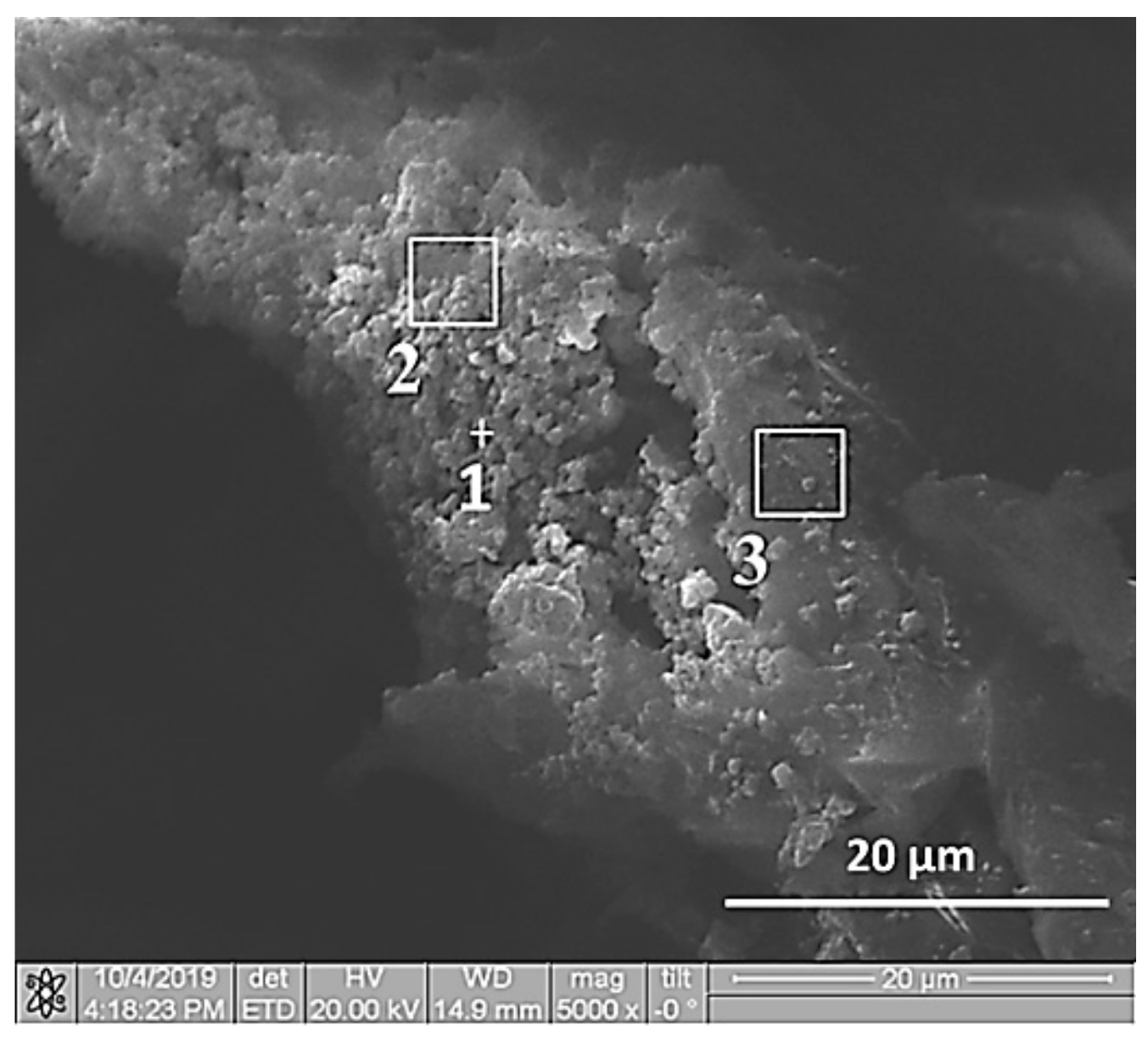 Materials 13 01050 g003