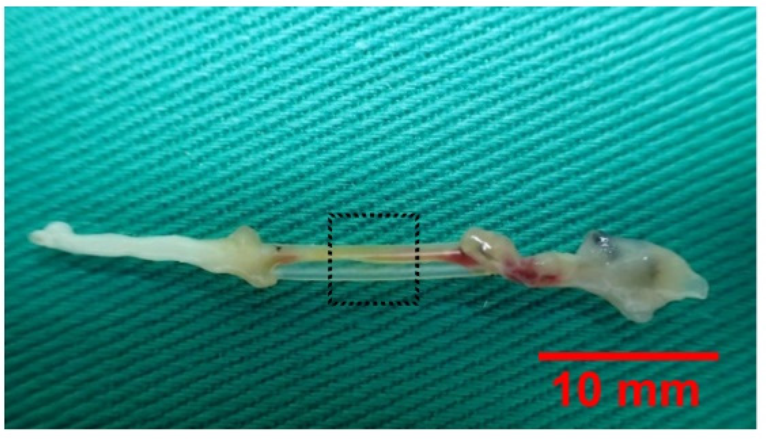 Materials 13 01063 g002