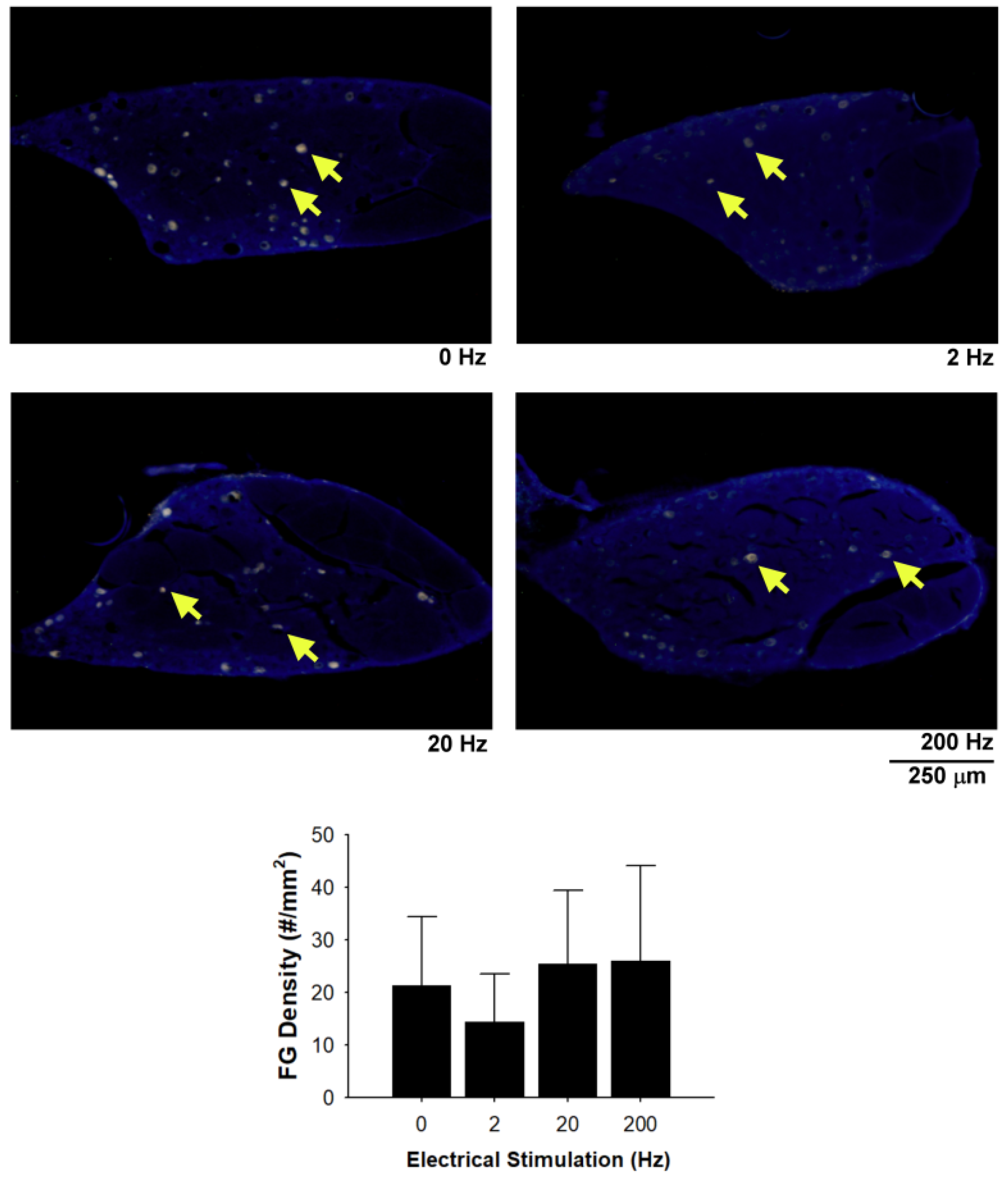 Materials 13 01063 g005