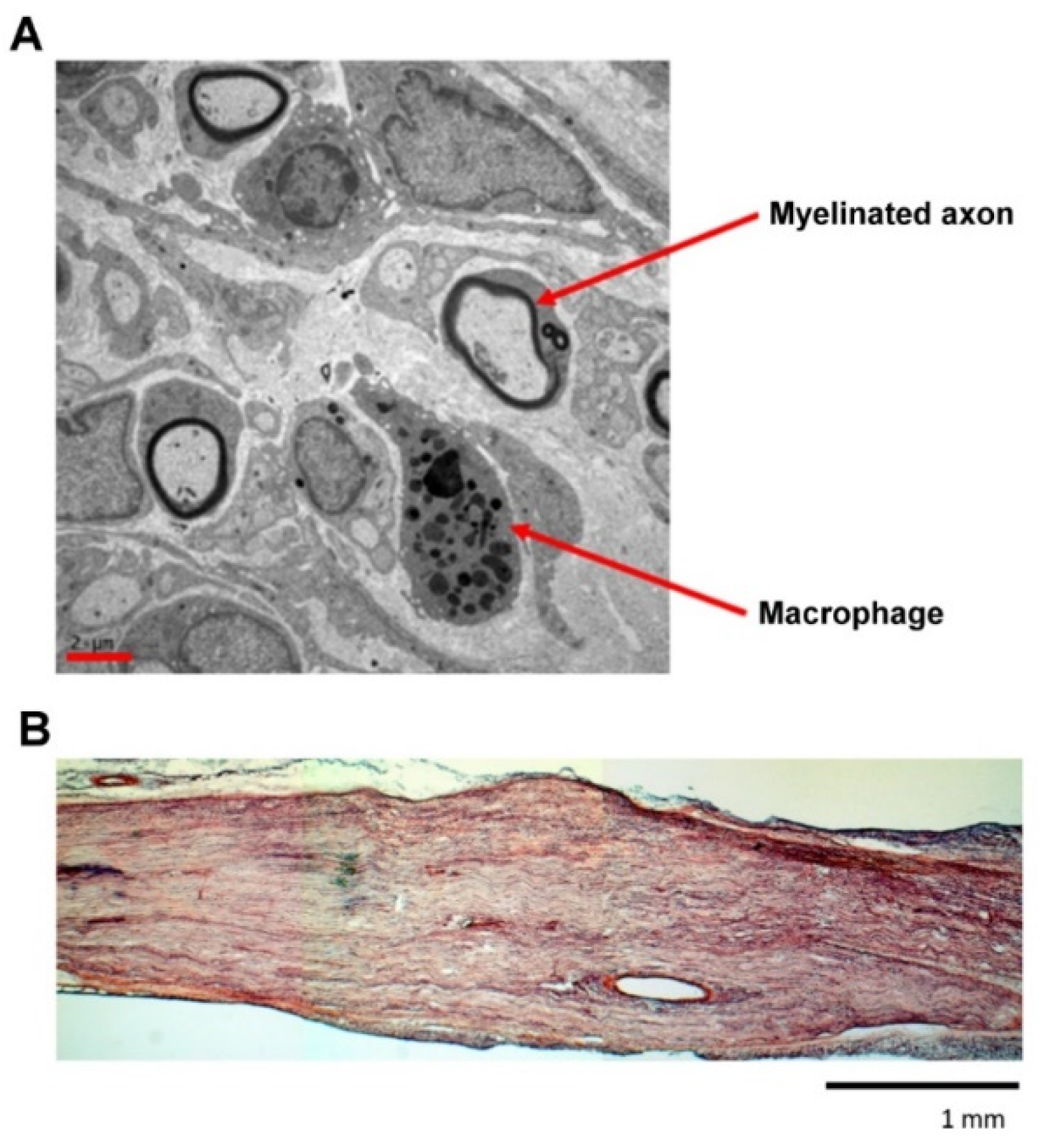 Materials 13 01063 g006