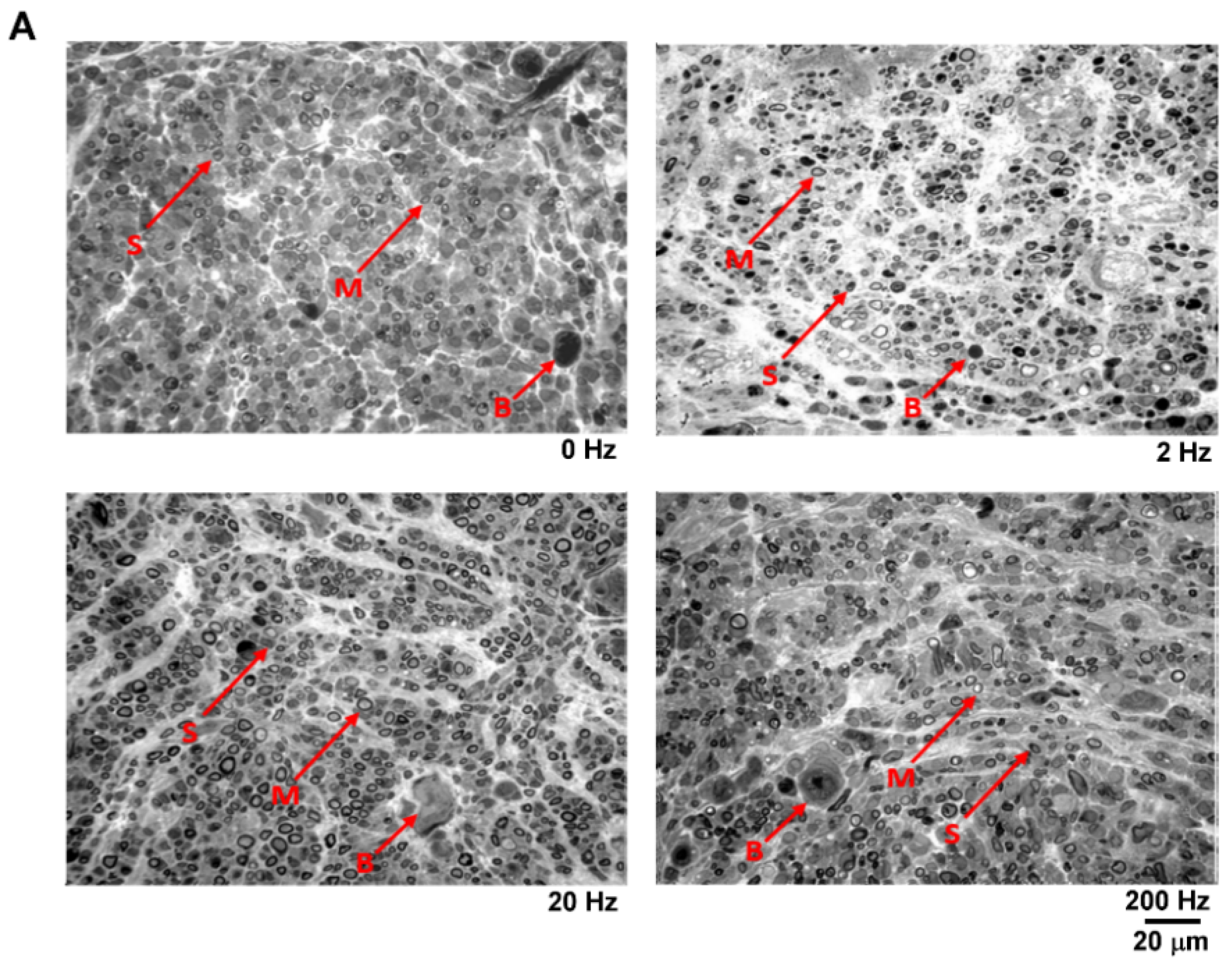 Materials 13 01063 g007a