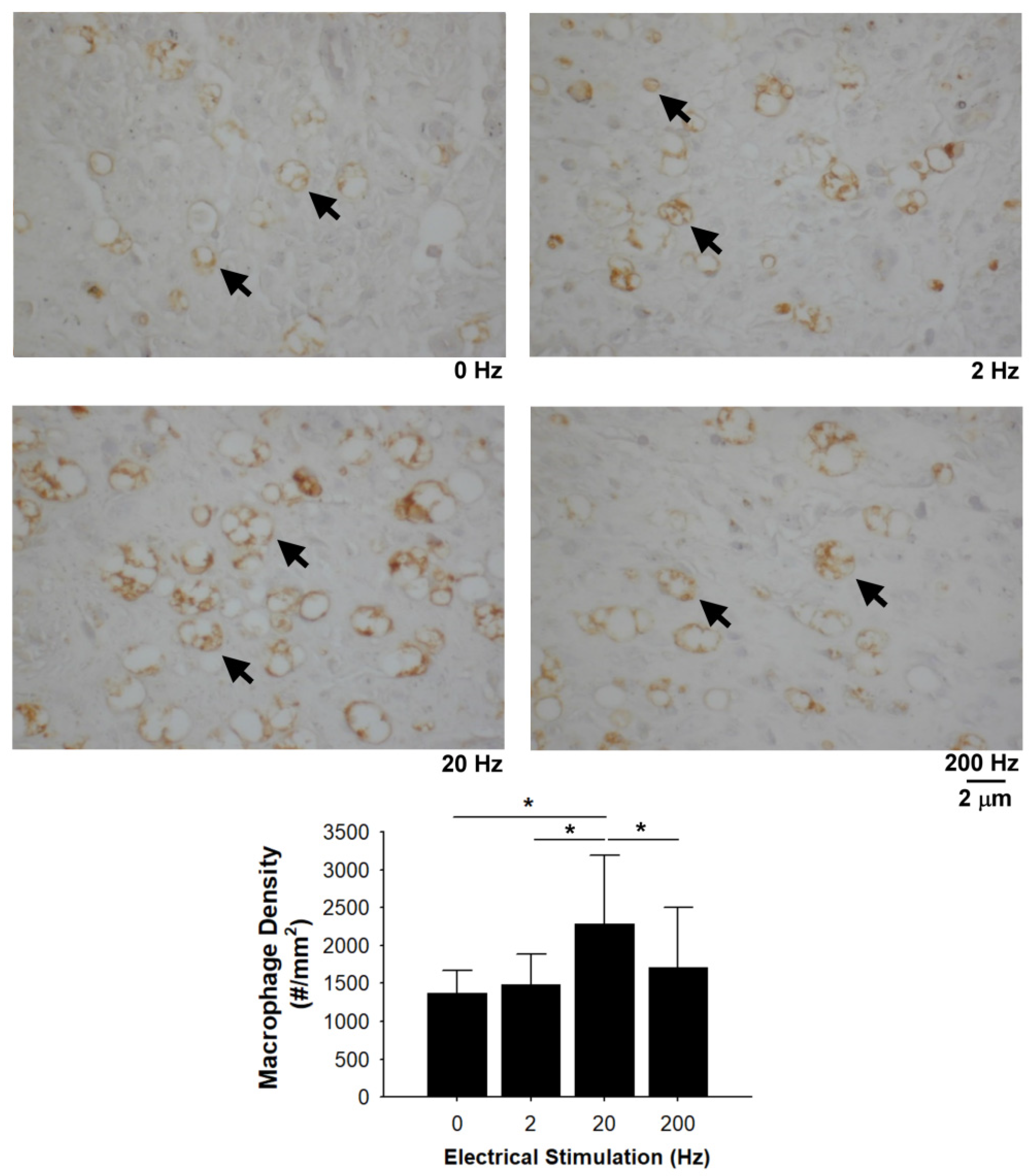 Materials 13 01063 g008