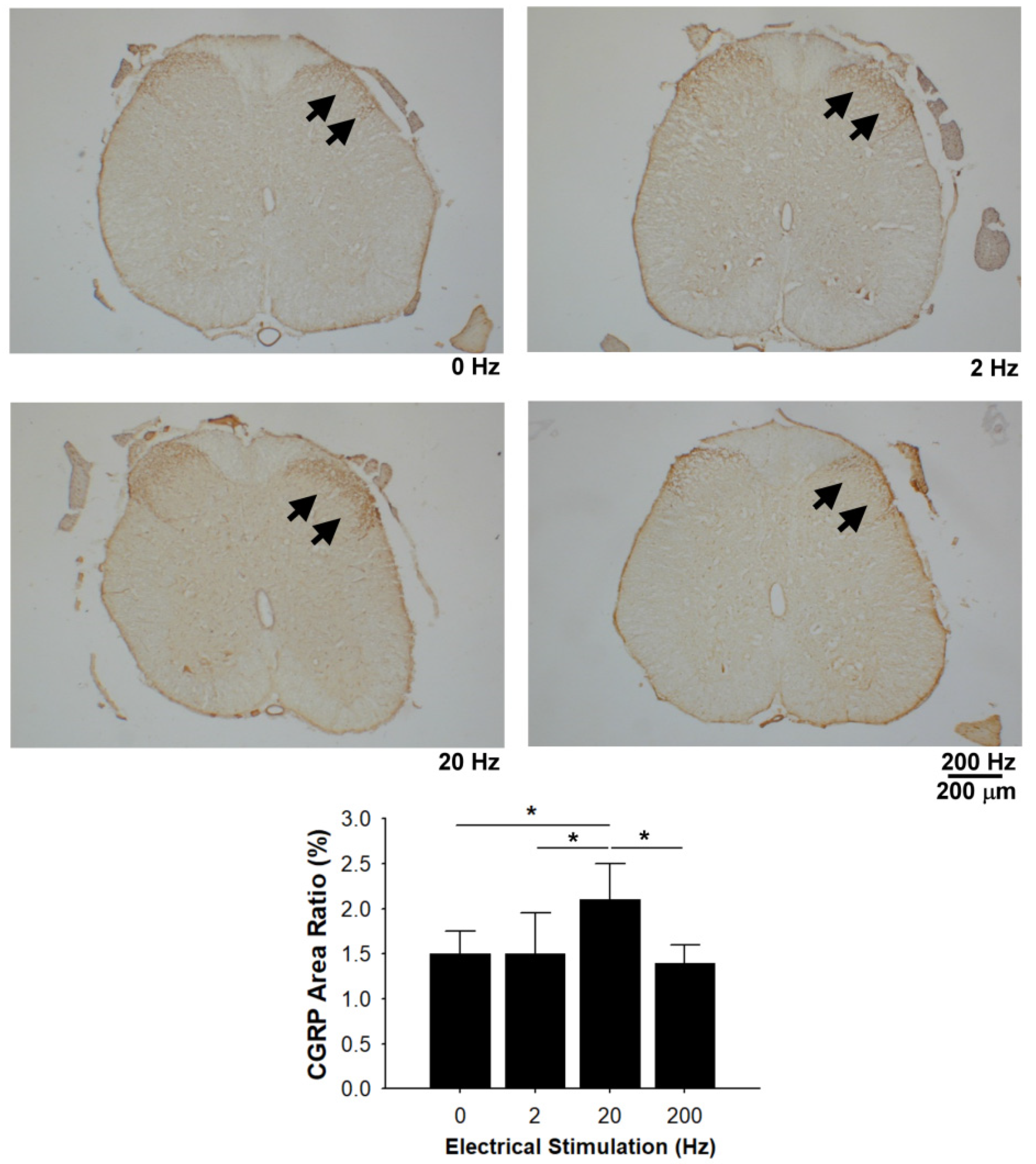 Materials 13 01063 g009