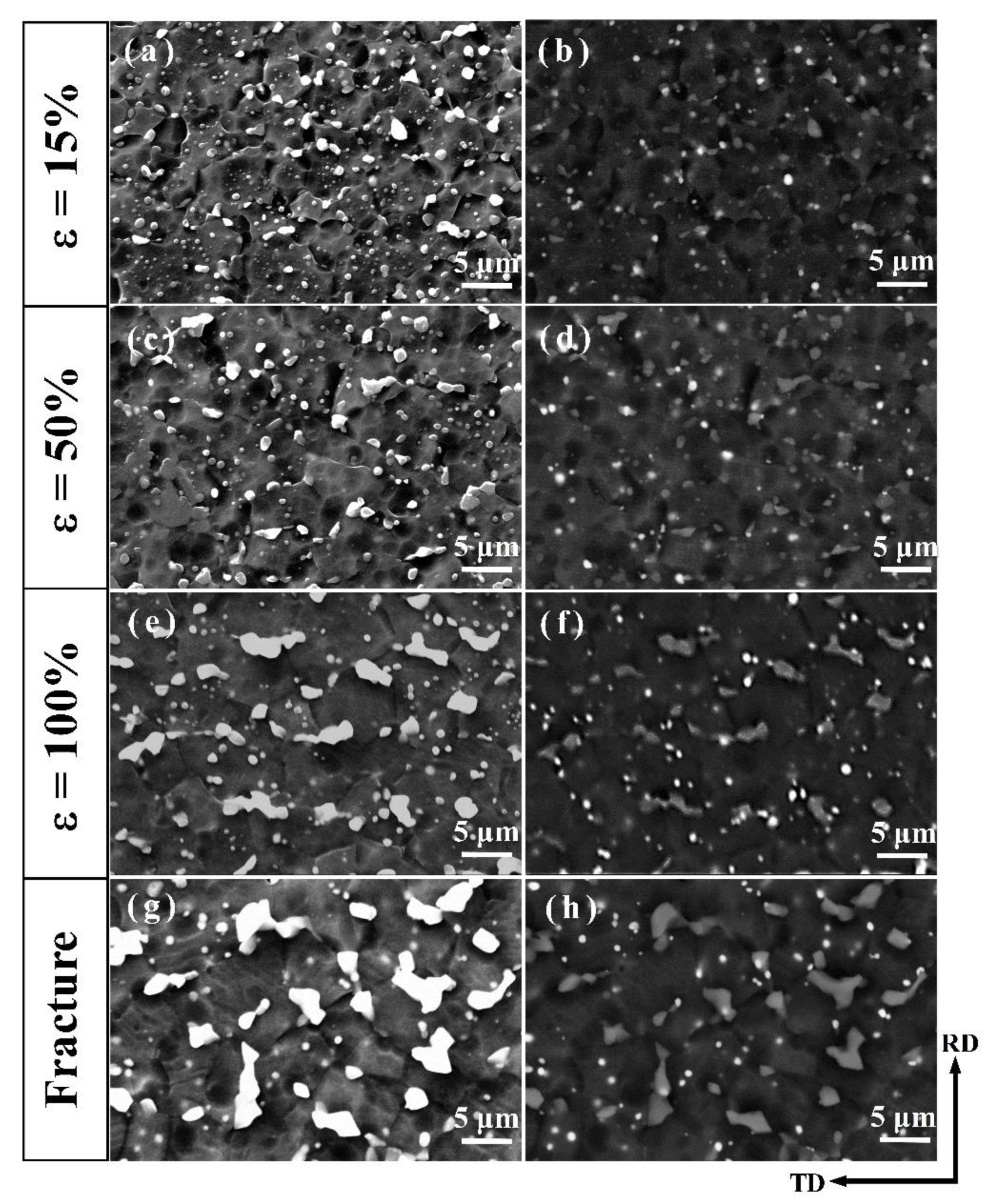 Materials 13 01074 g007