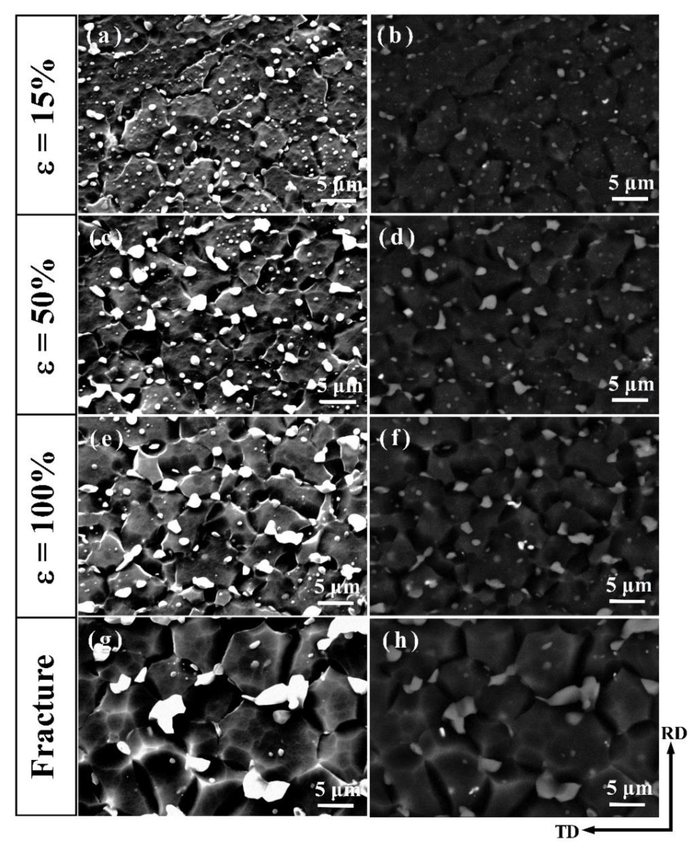 Materials 13 01074 g008