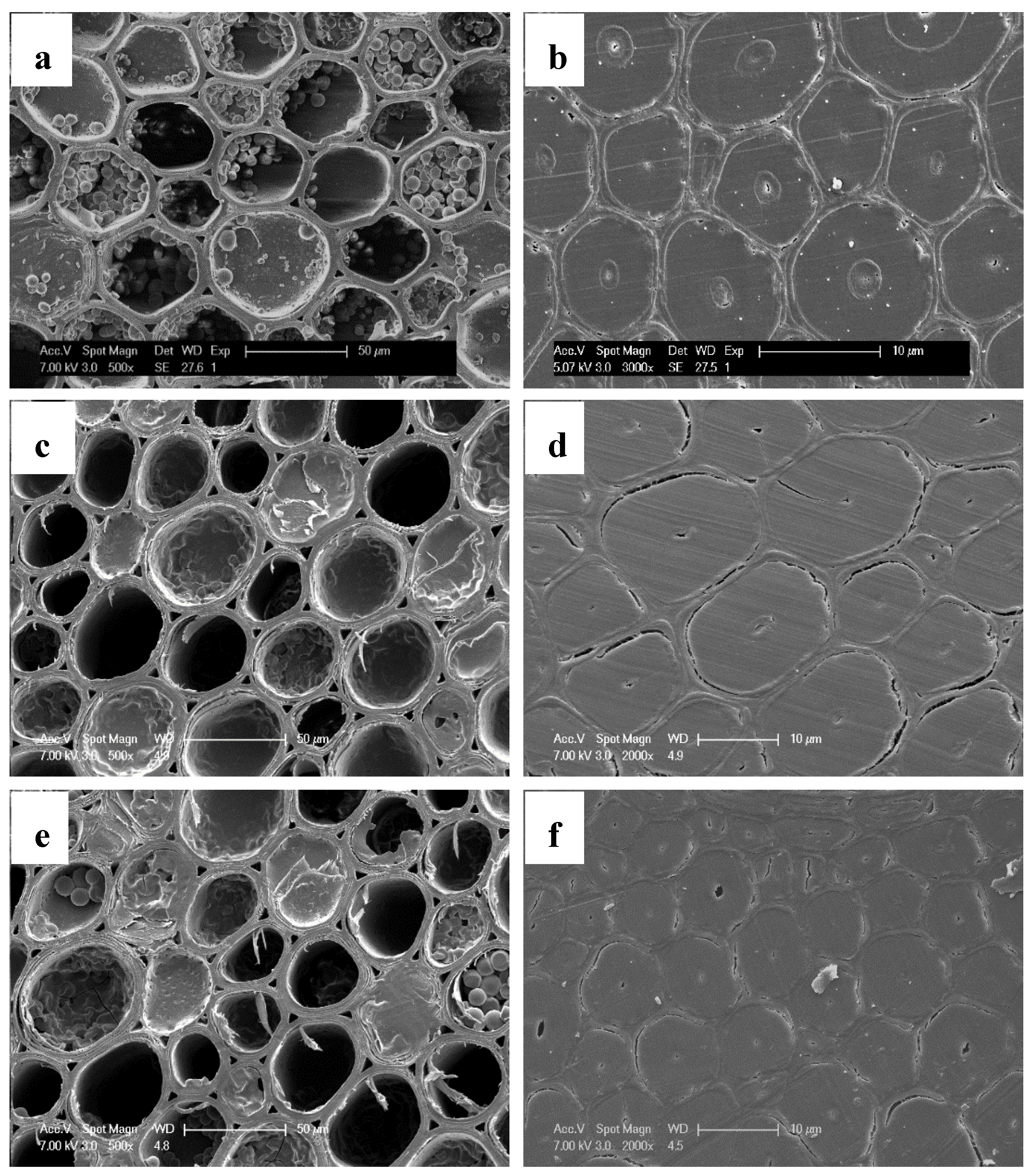 Materials 13 01157 g003