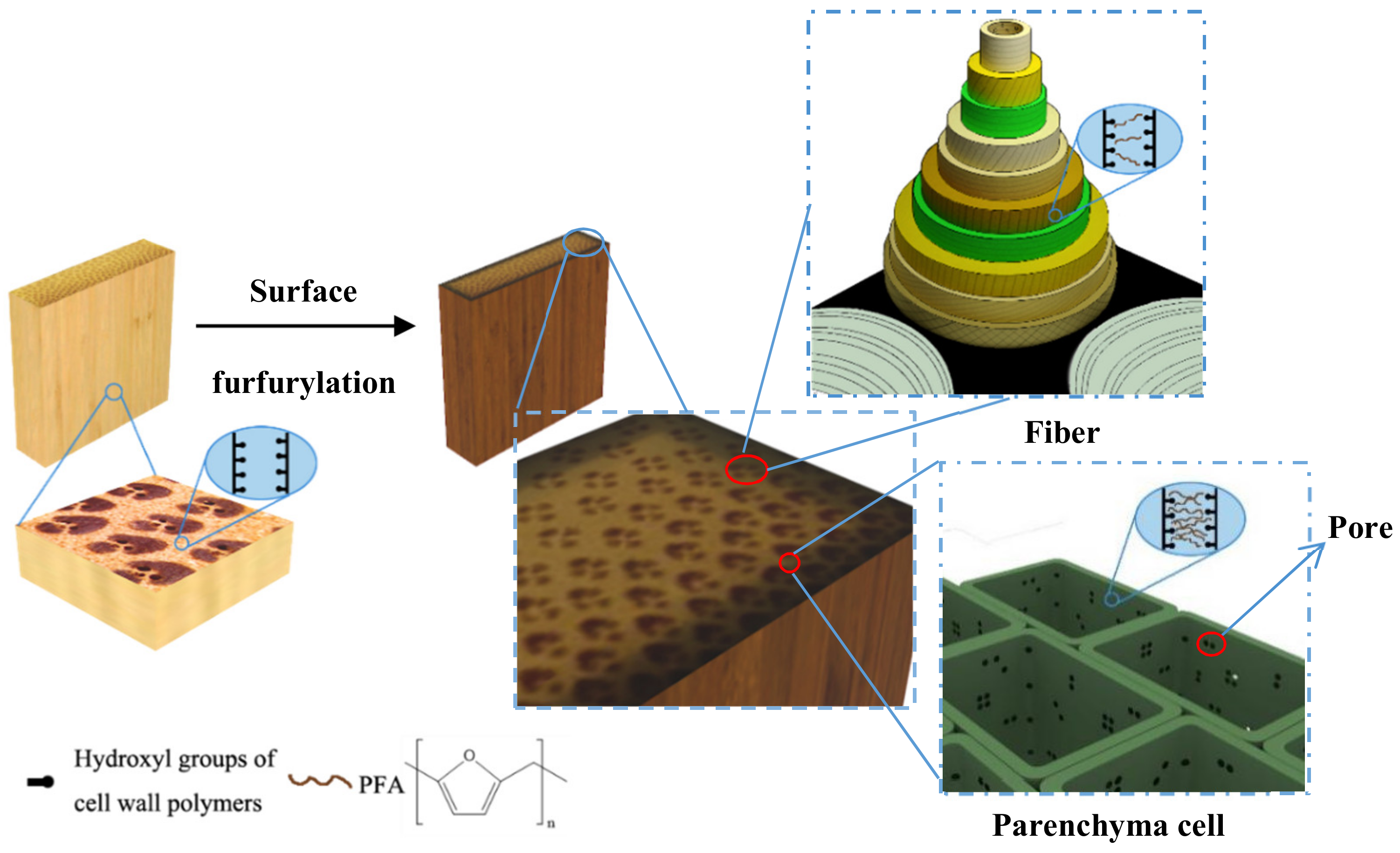 Materials 13 01157 g006