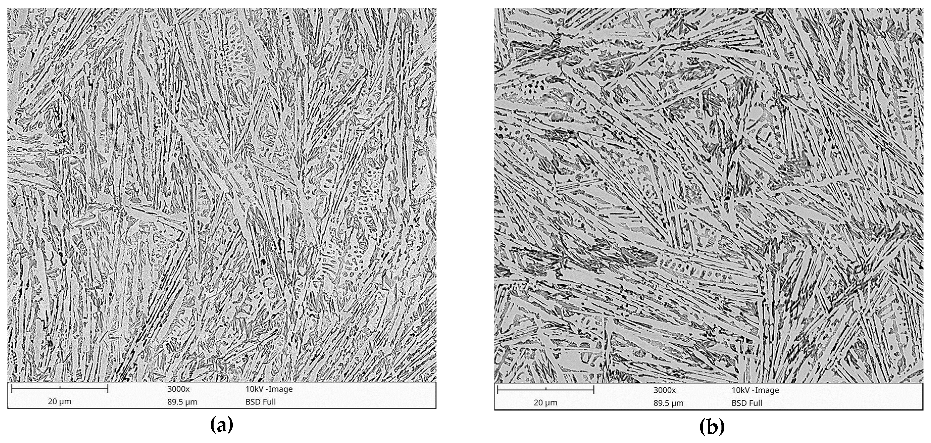 Materials 13 01174 g007a Materials 13 01174 g007a