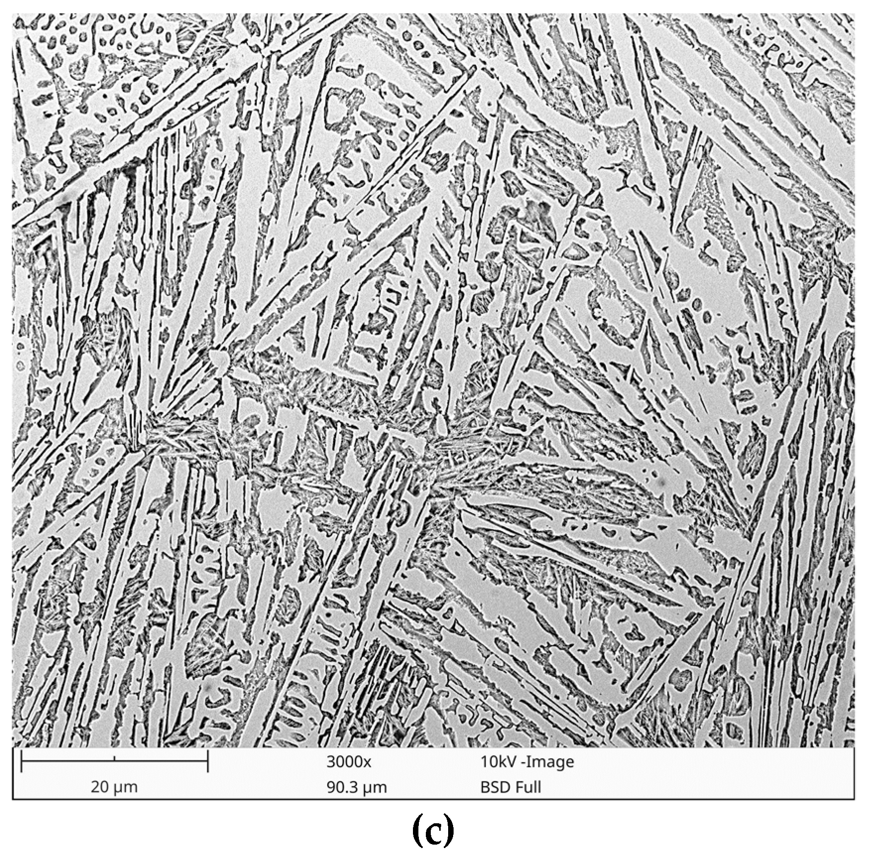 Materials 13 01174 g007b Materials 13 01174 g007b