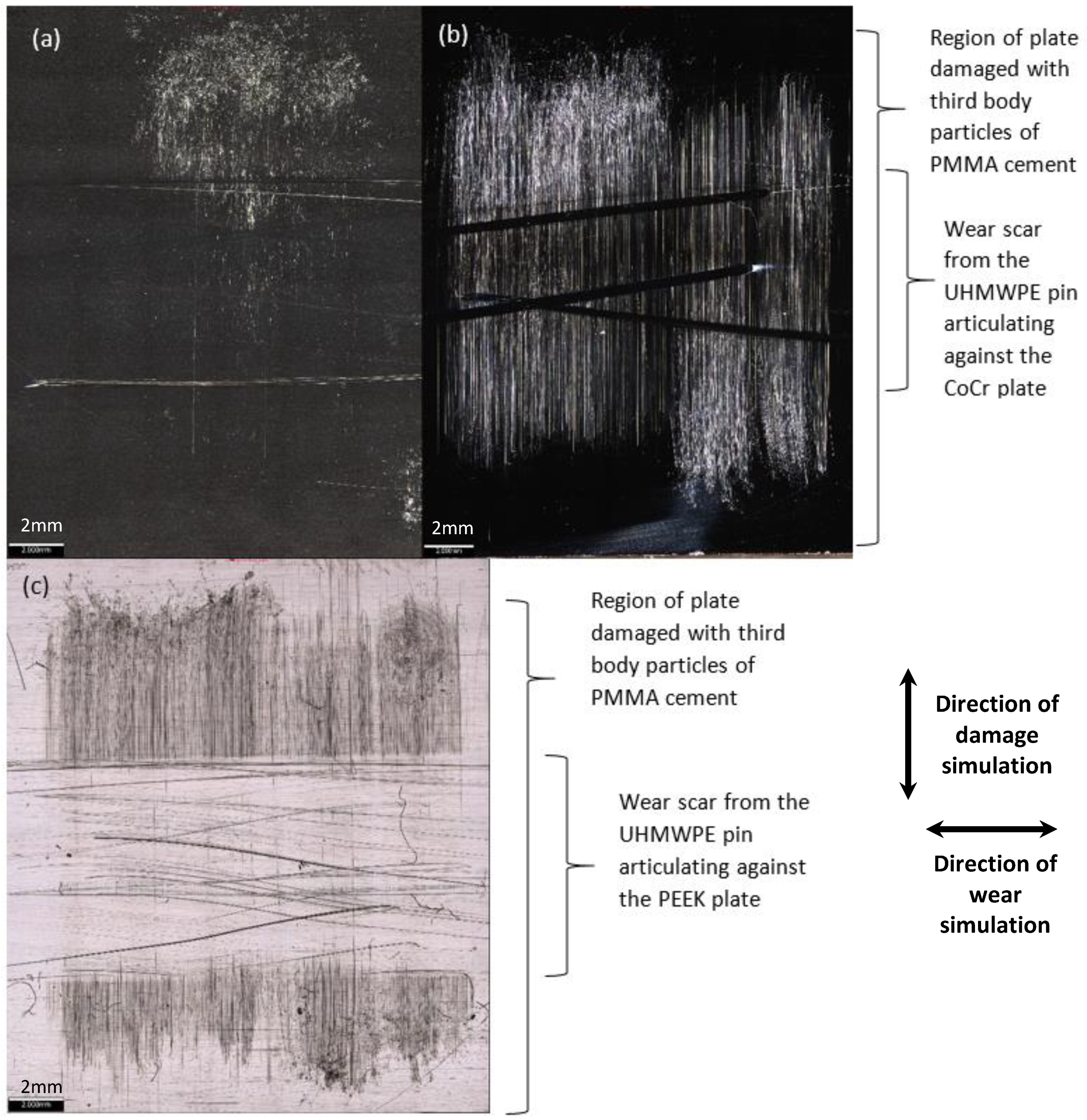 Materials 13 01264 g002