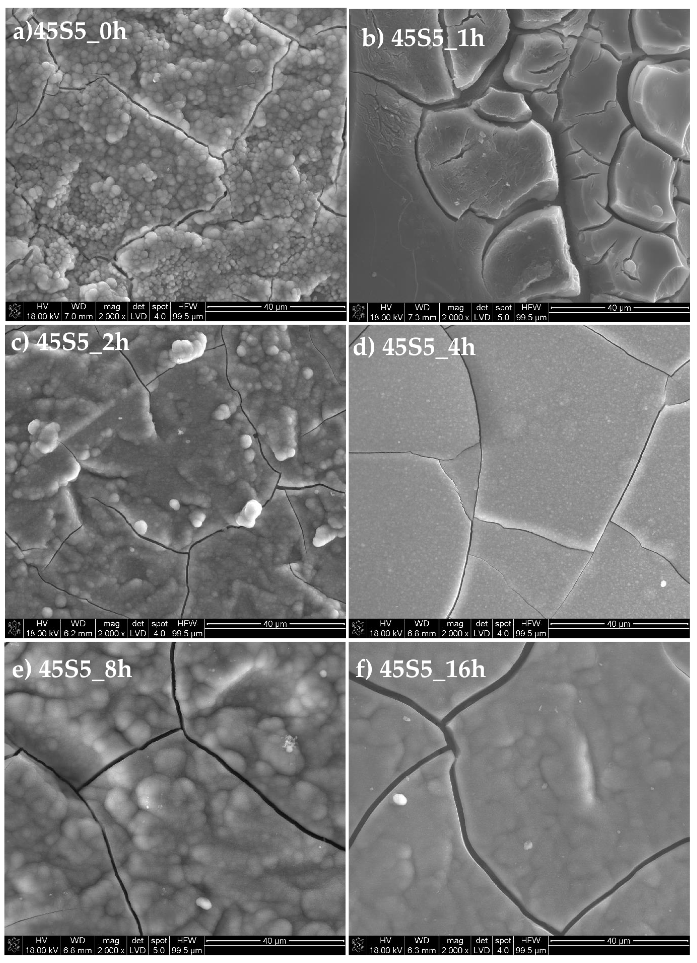 Materials 13 01281 g011 Materials 13 01281 g011