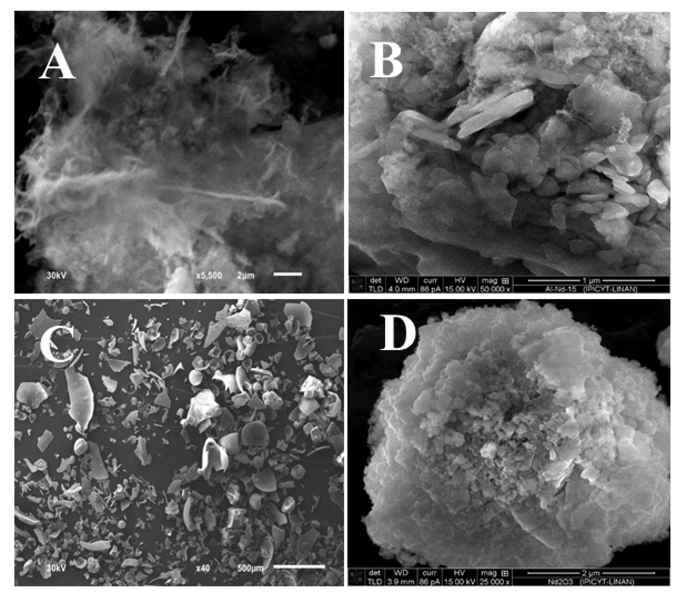 Materials 13 01345 g005