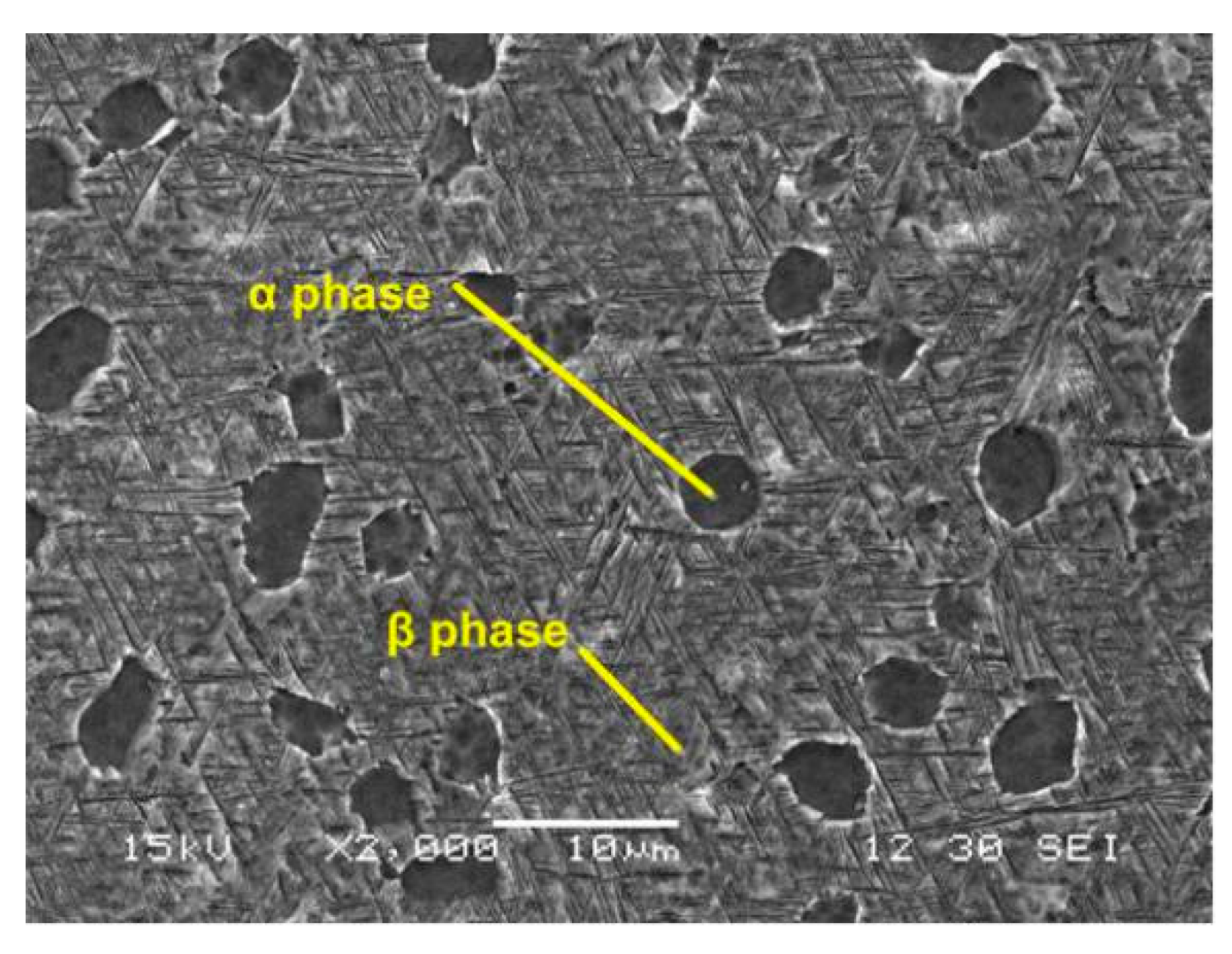 Materials 13 01398 g002