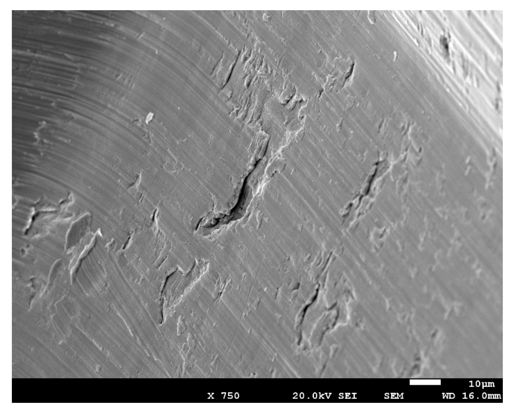 Materials 13 01429 g004 Materials 13 01429 g004