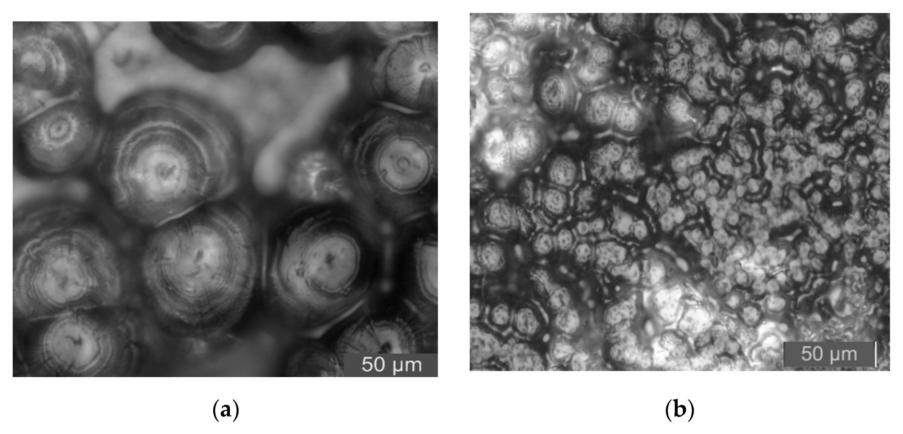 Materials 13 01432 g004a