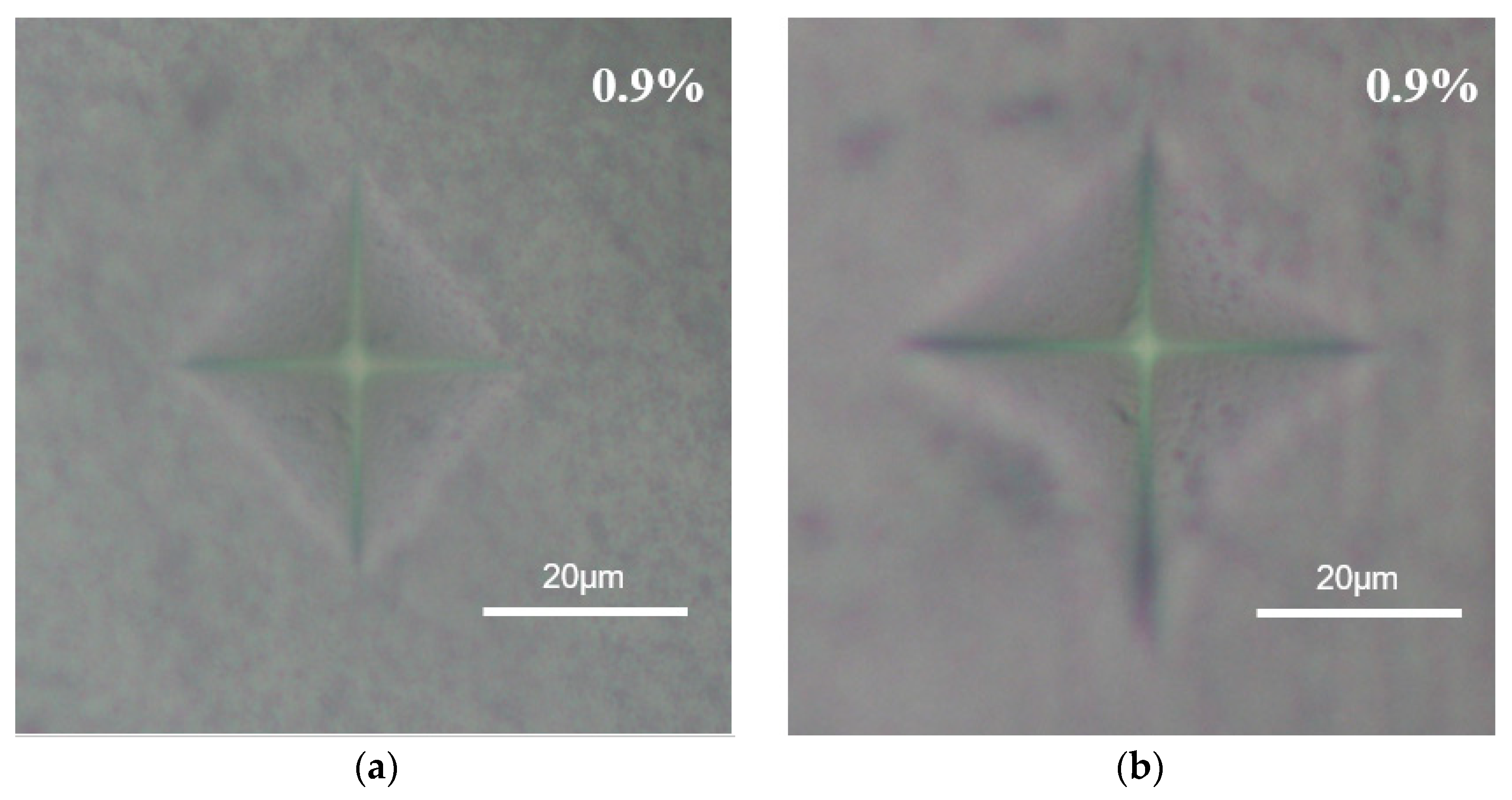 Materials 13 01546 g006 Materials 13 01546 g006