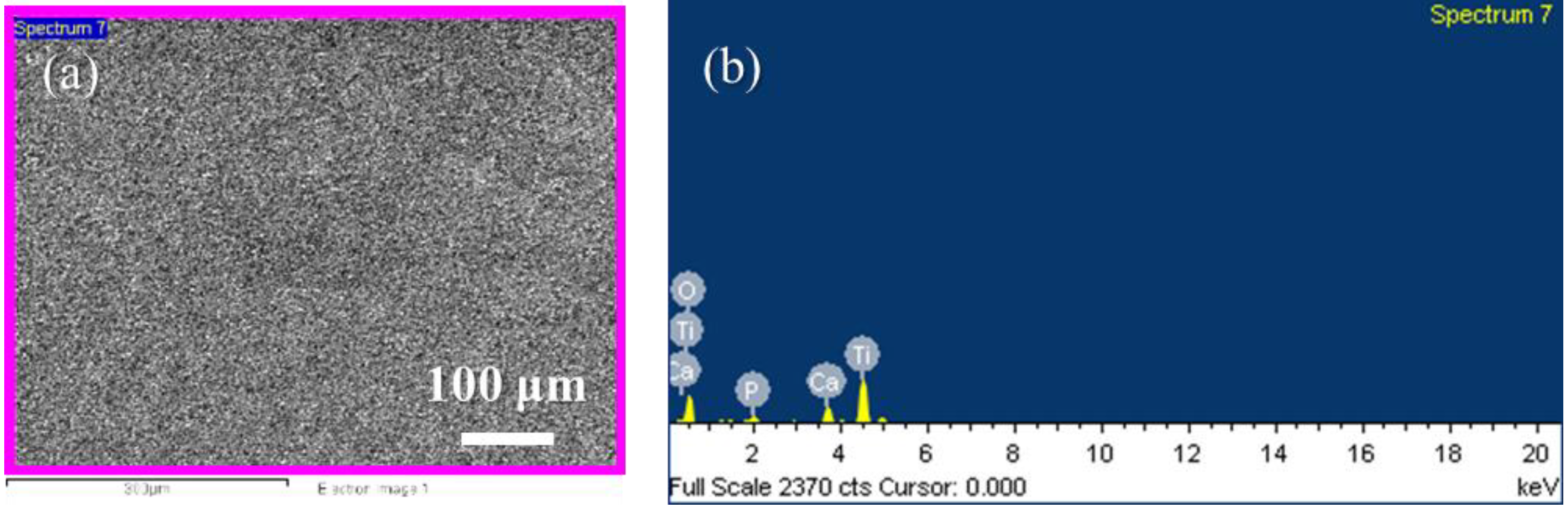 Materials 13 01548 g003 Materials 13 01548 g003
