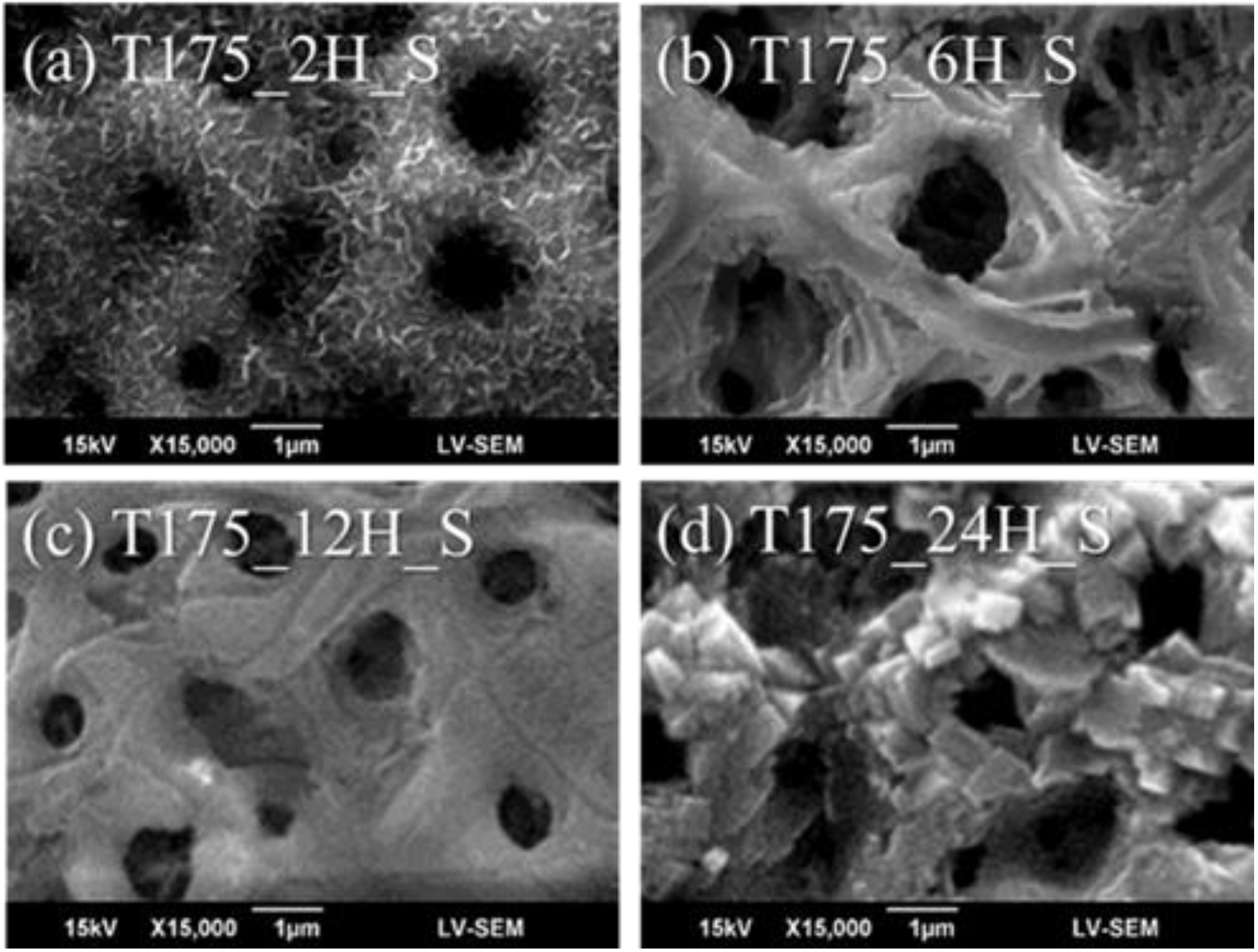 Materials 13 01548 g004 Materials 13 01548 g004