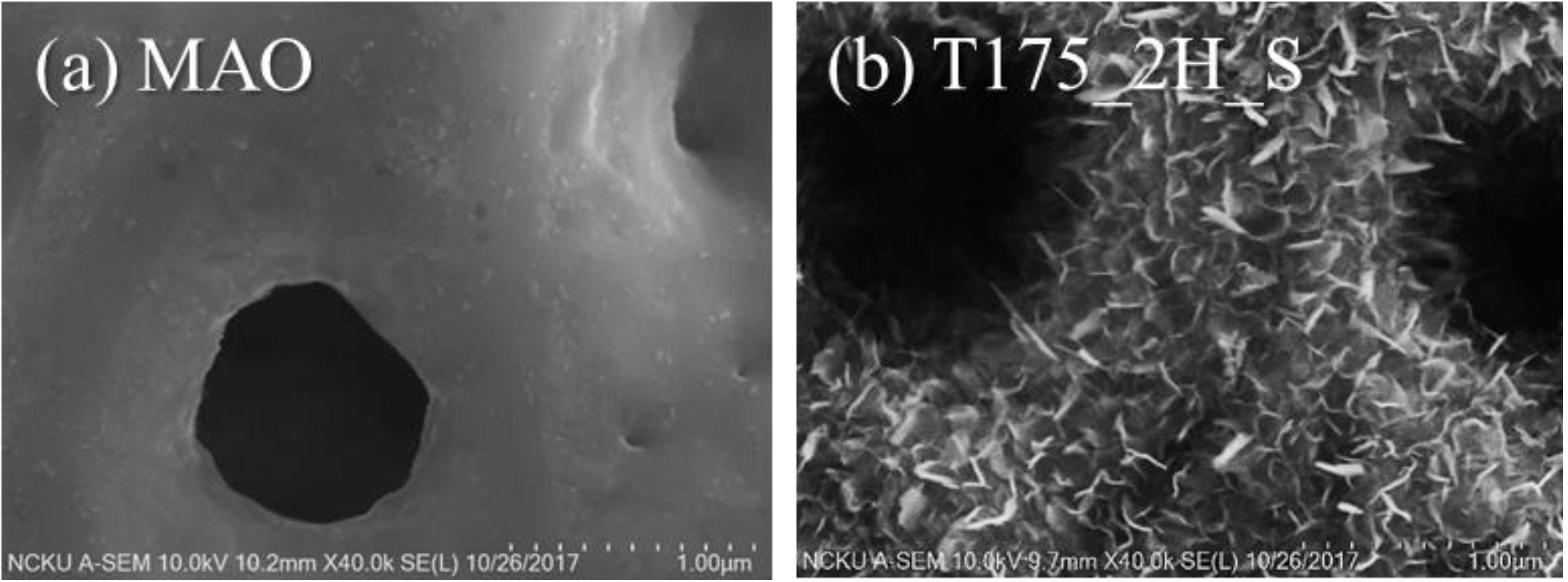 Materials 13 01548 g005 Materials 13 01548 g005