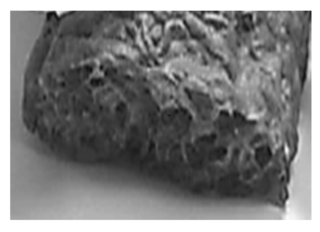 Materials 13 01571 g004