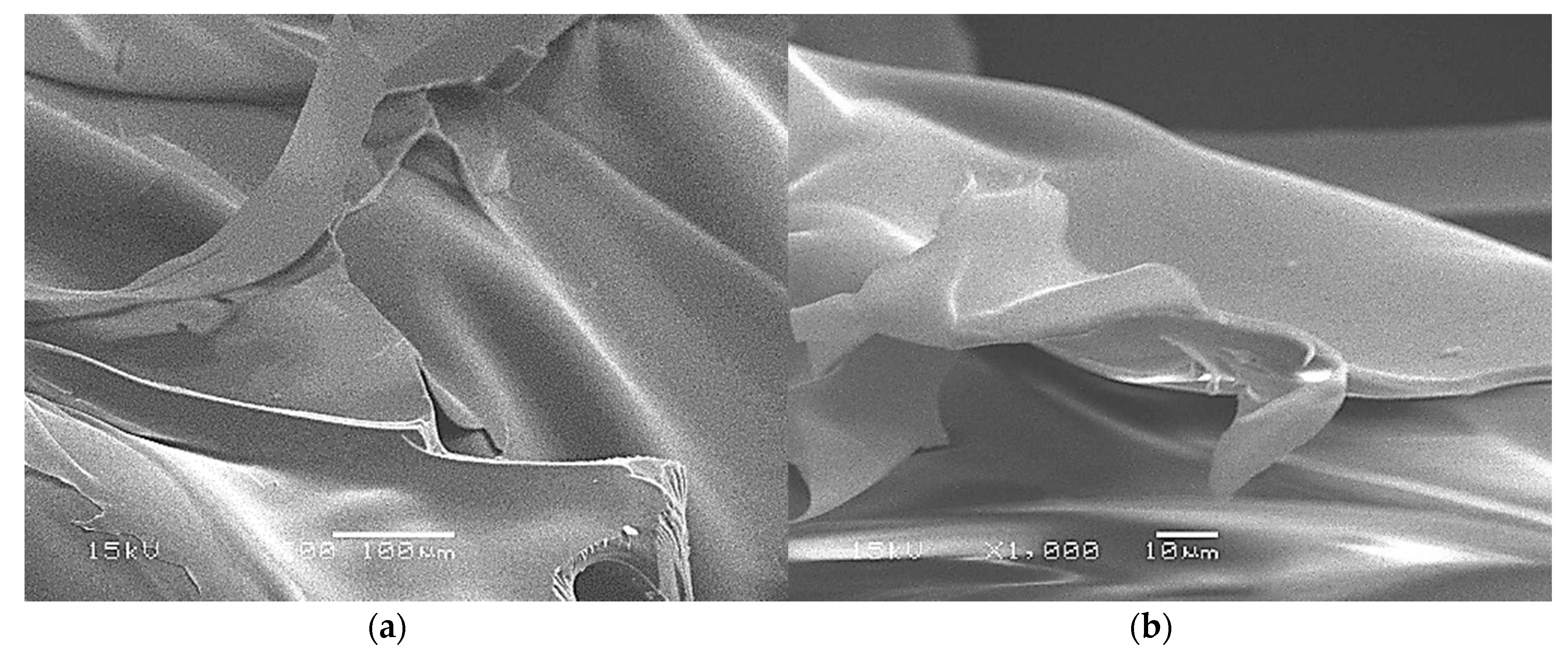 Materials 13 01571 g007