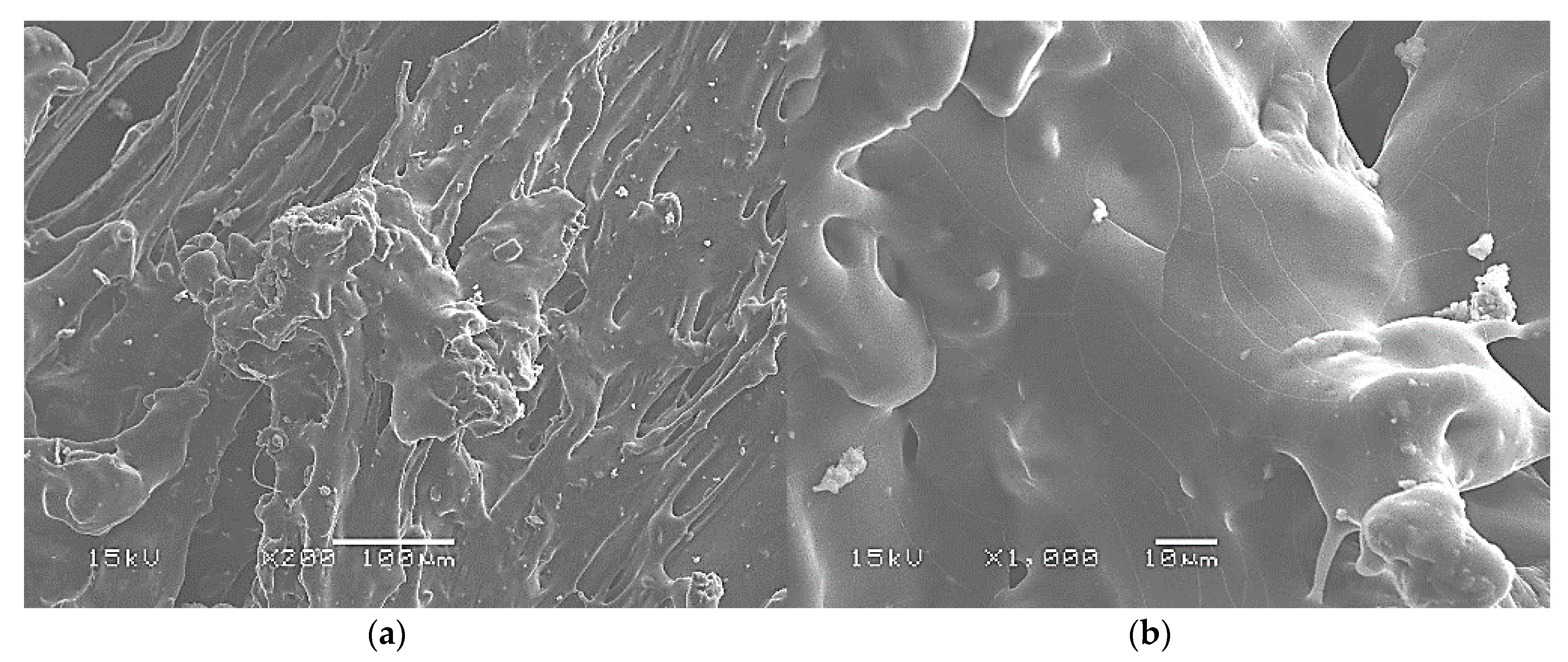 Materials 13 01571 g010