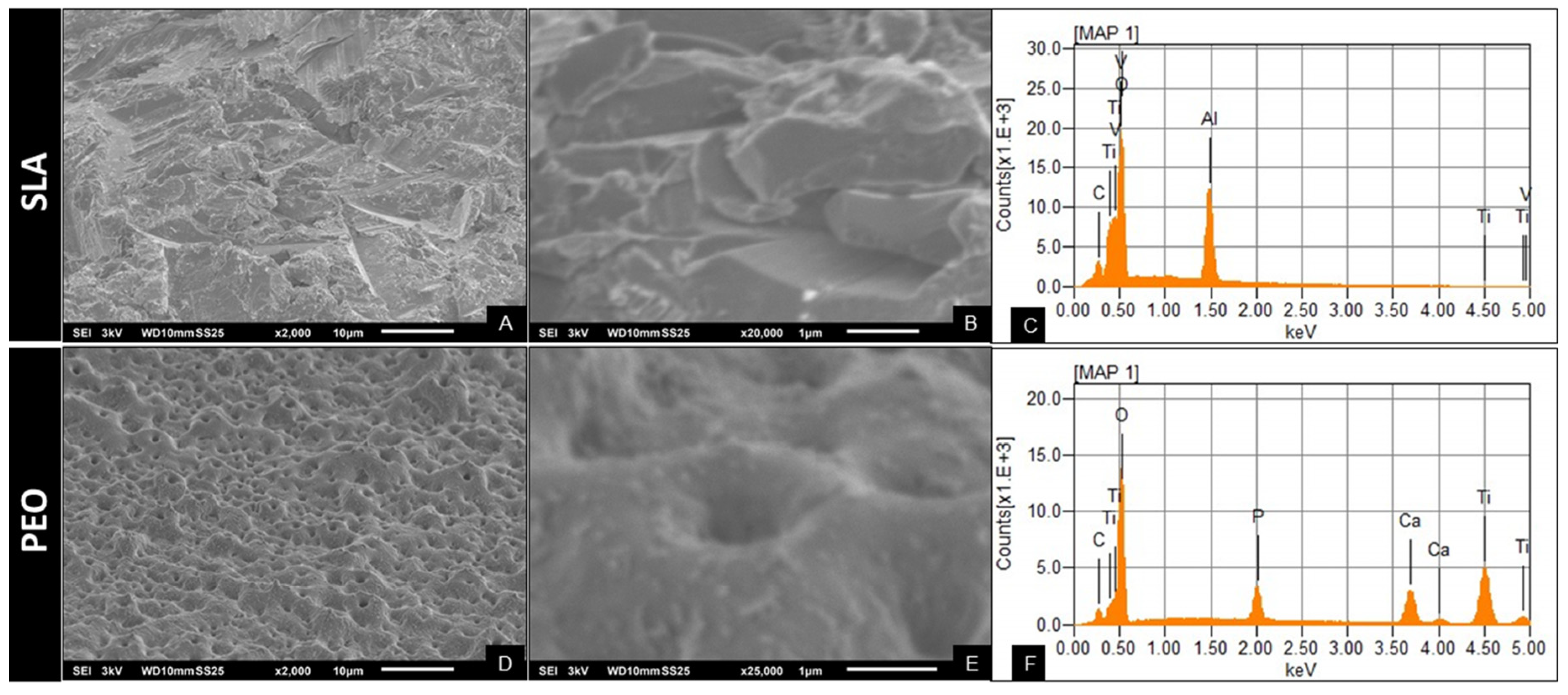 Materials 13 01604 g001 Materials 13 01604 g001