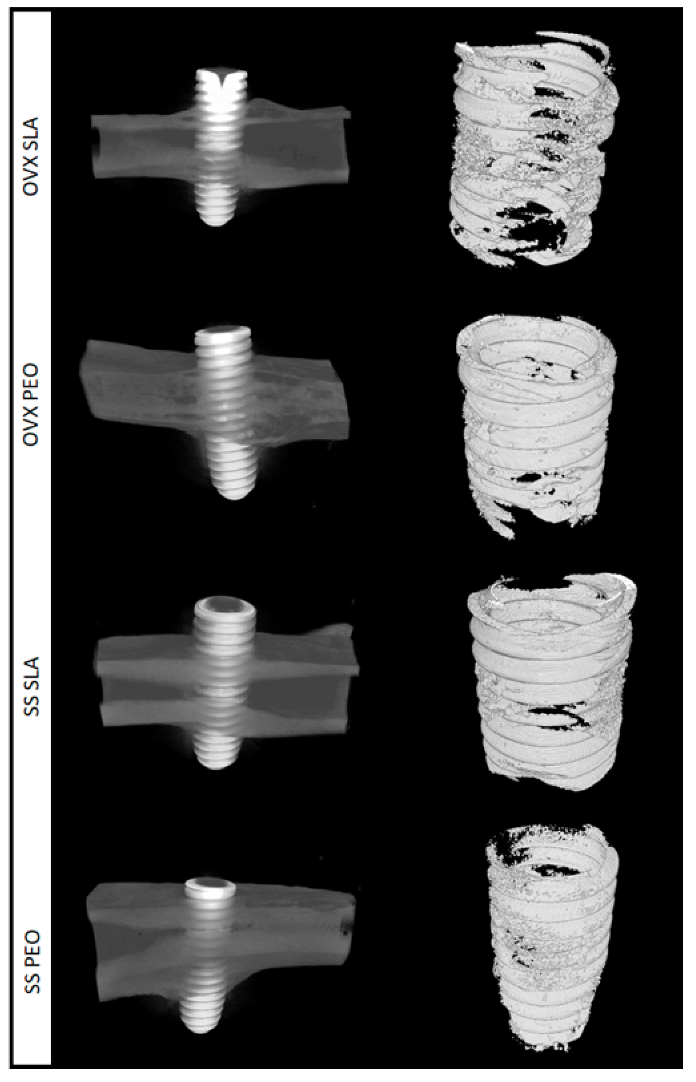 Materials 13 01604 g003 Materials 13 01604 g003