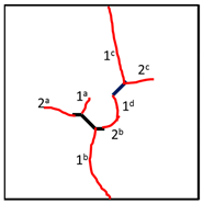 Materials 13 01607 i004 Materials 13 01607 i004