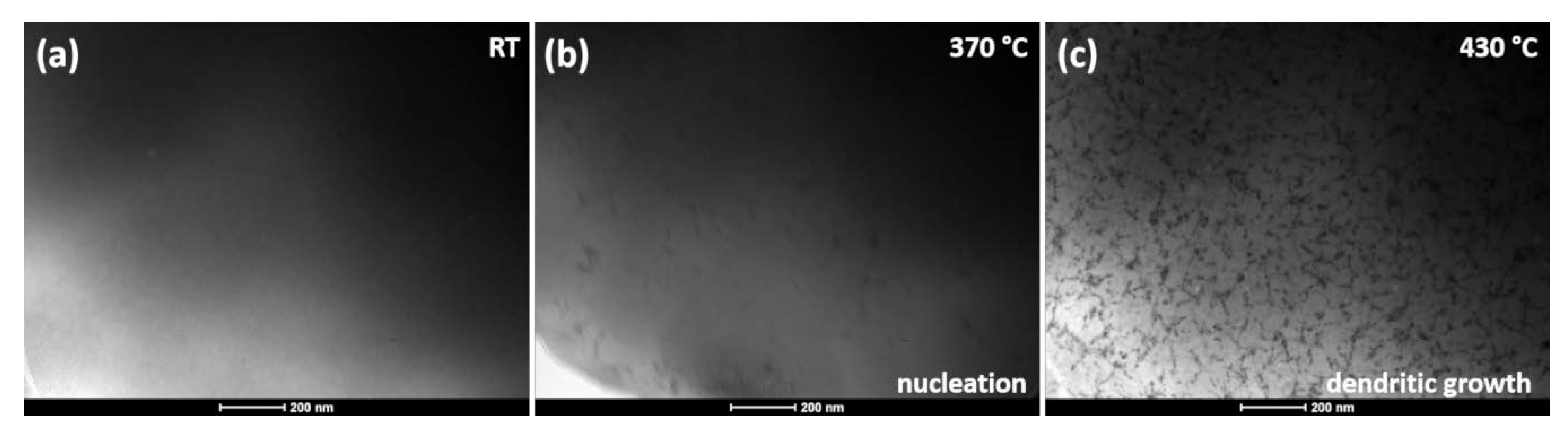 Materials 13 01639 g004