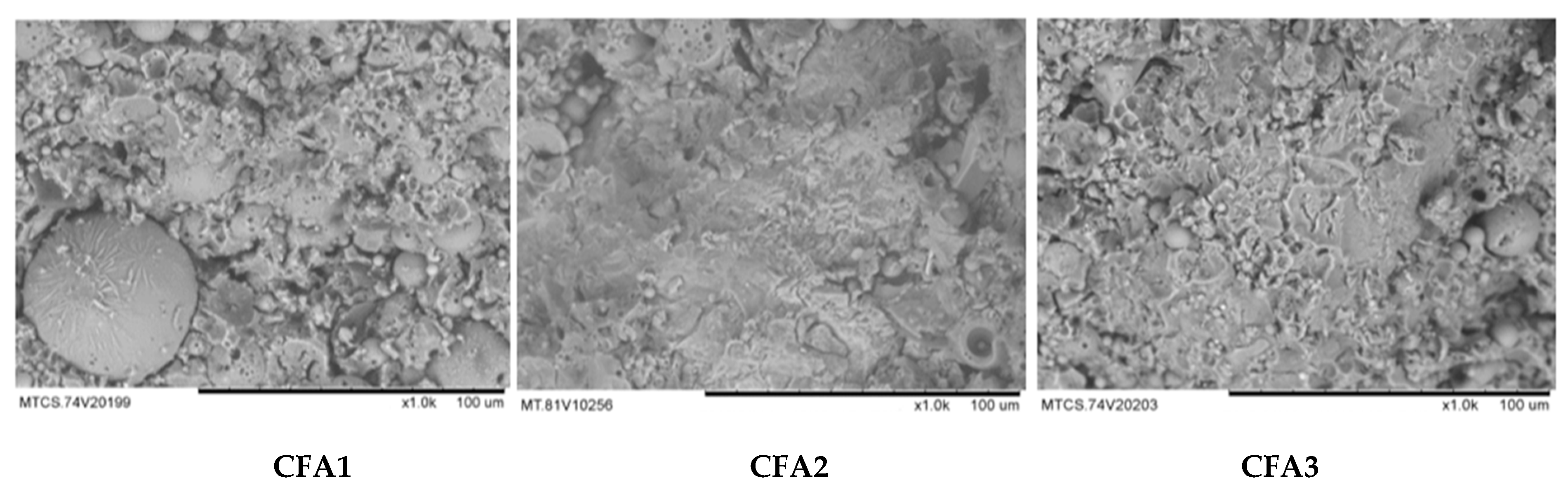 Materials 13 01651 g001