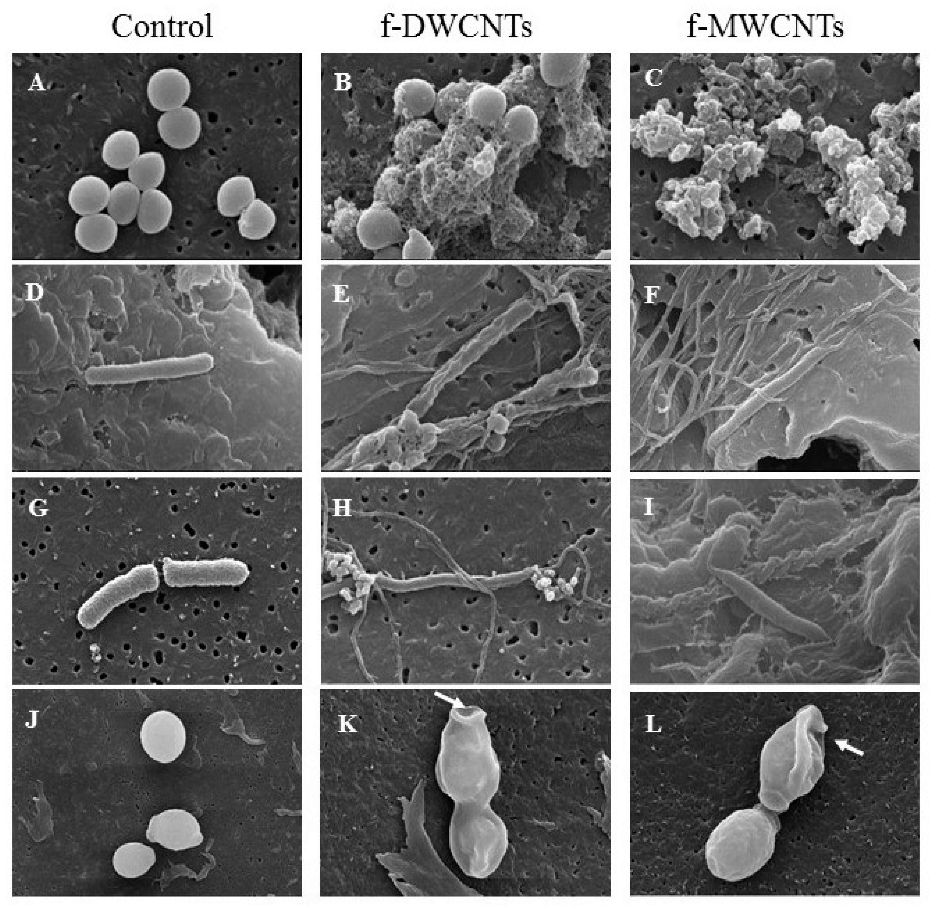 Materials 13 01676 g011 Materials 13 01676 g011
