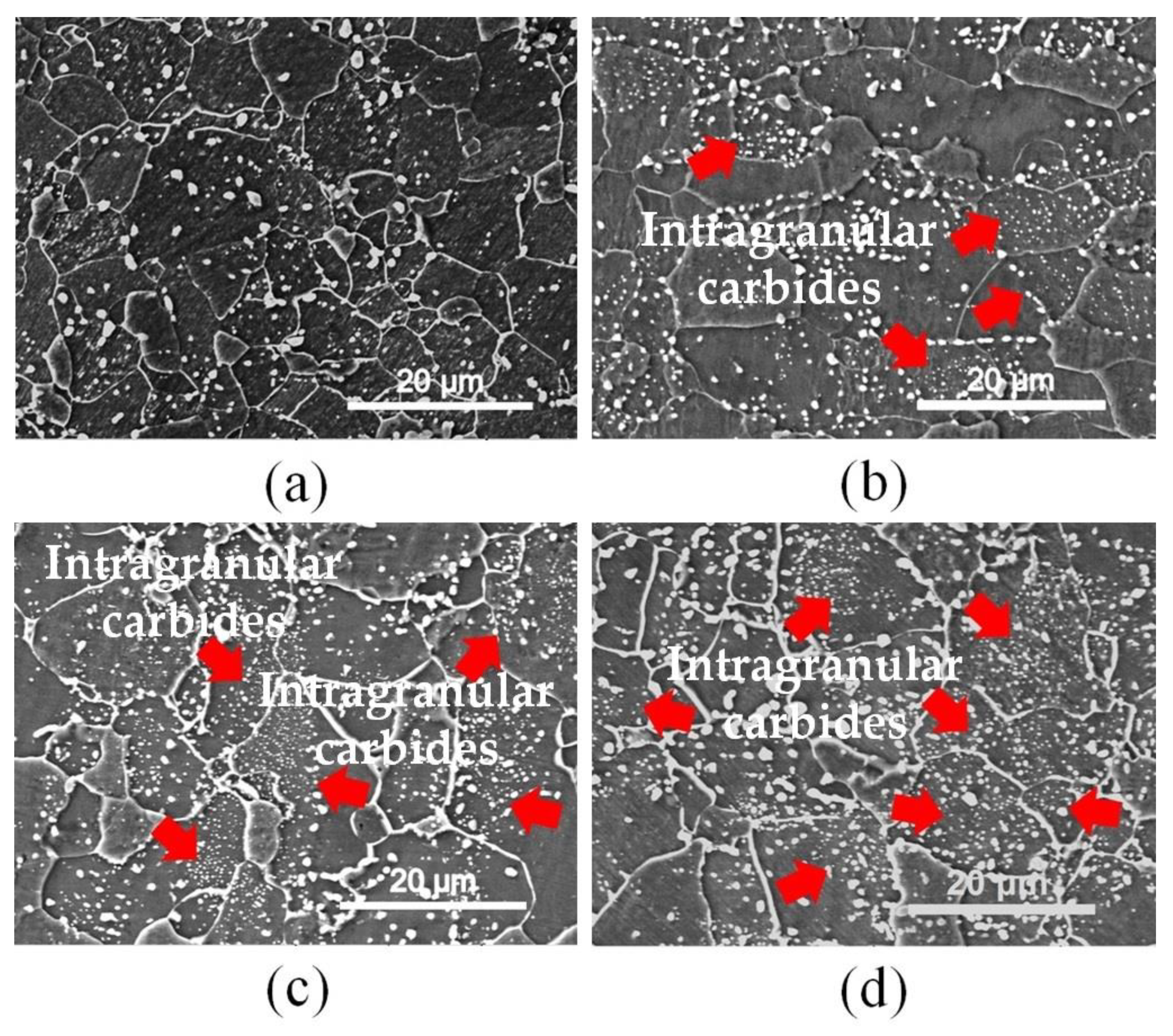 Materials 13 01741 g010