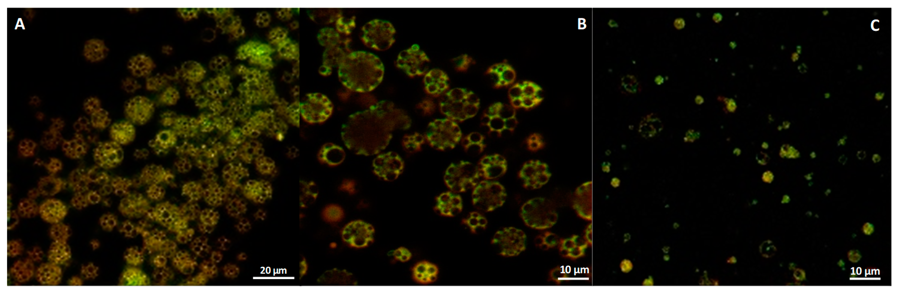 Materials 13 01807 g001 Materials 13 01807 g001