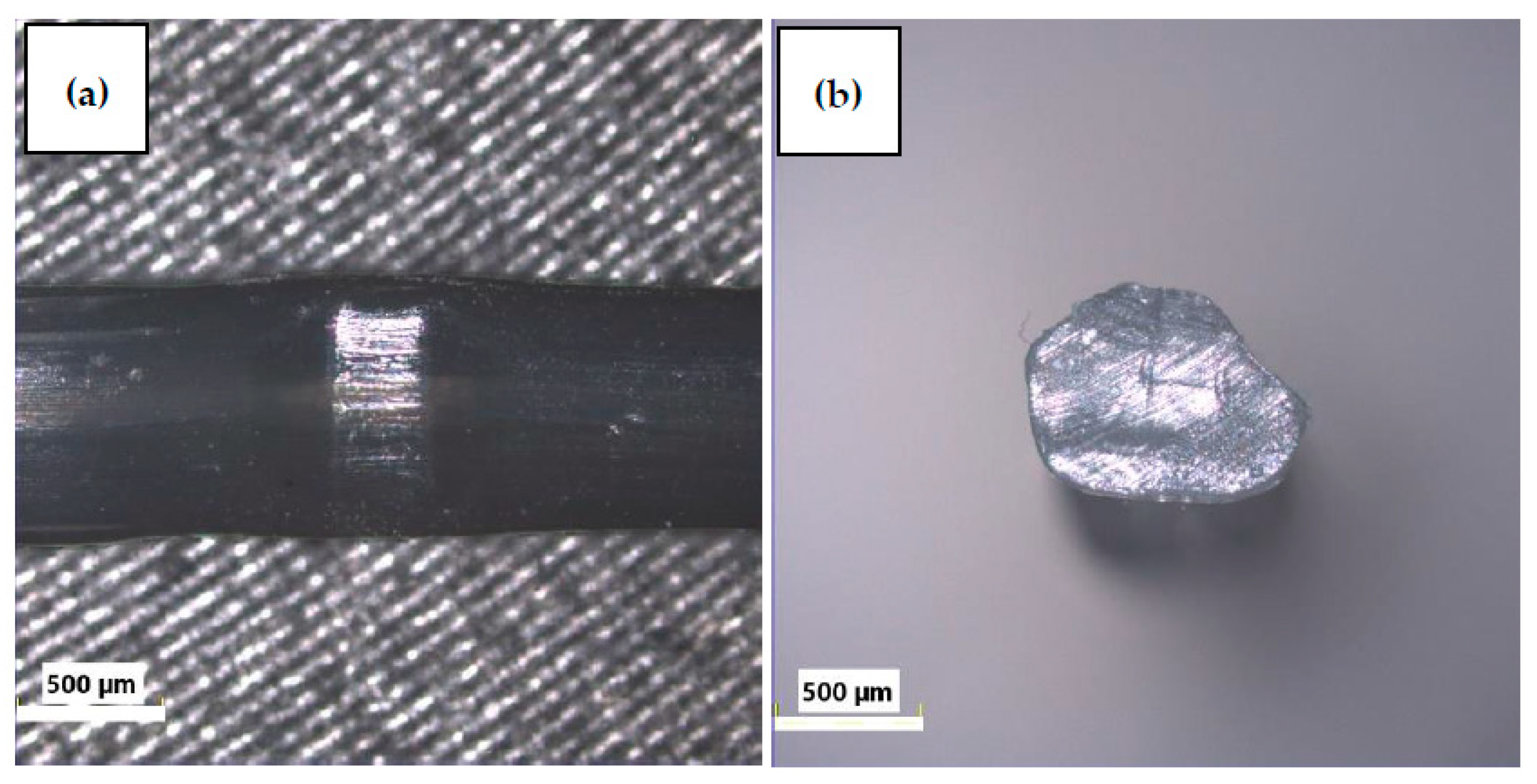 Materials 13 01827 g006