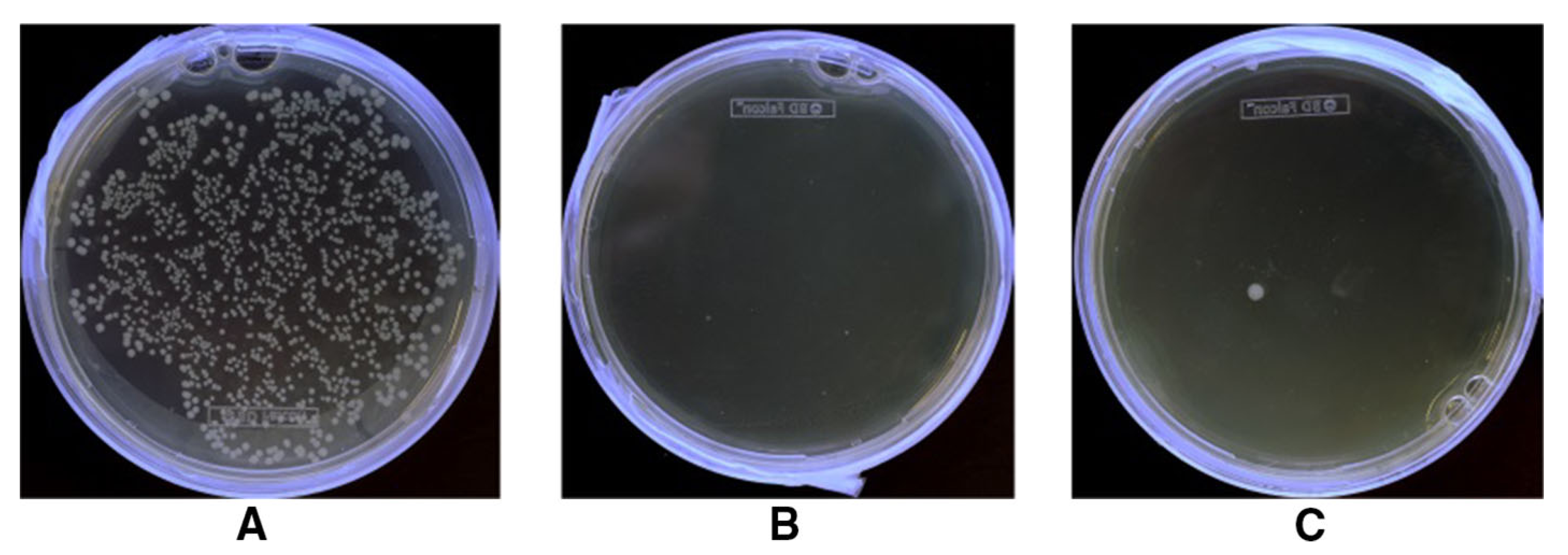 Materials 13 01838 g022