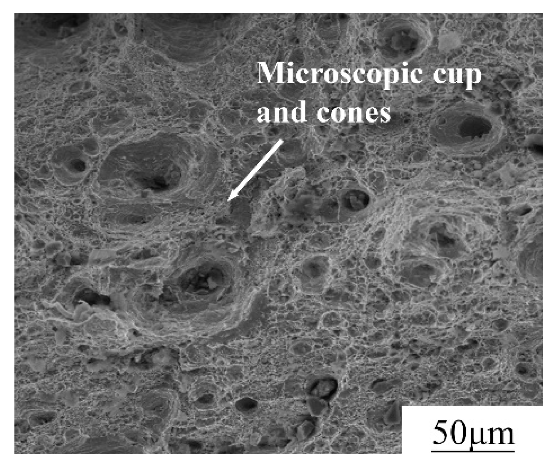 Materials 13 01901 g006