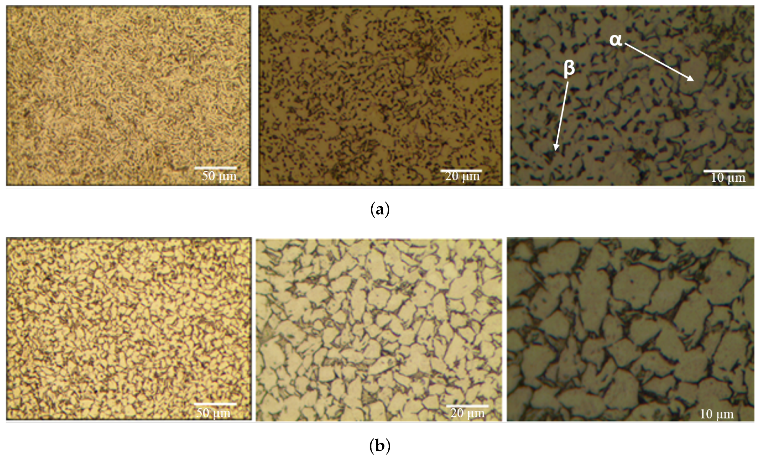 Materials 13 01948 g011a Materials 13 01948 g011a
