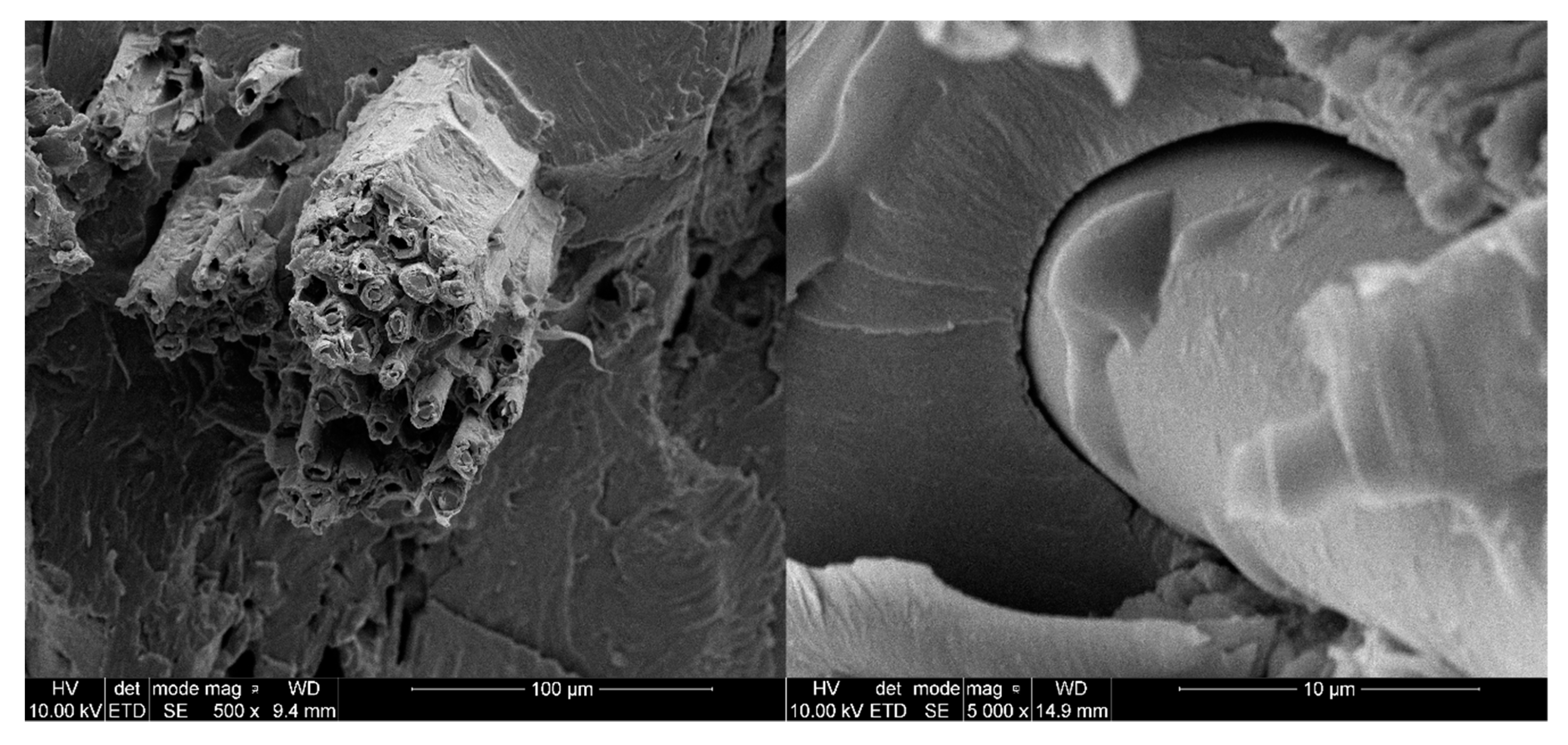 Materials 13 02028 g018 Materials 13 02028 g018