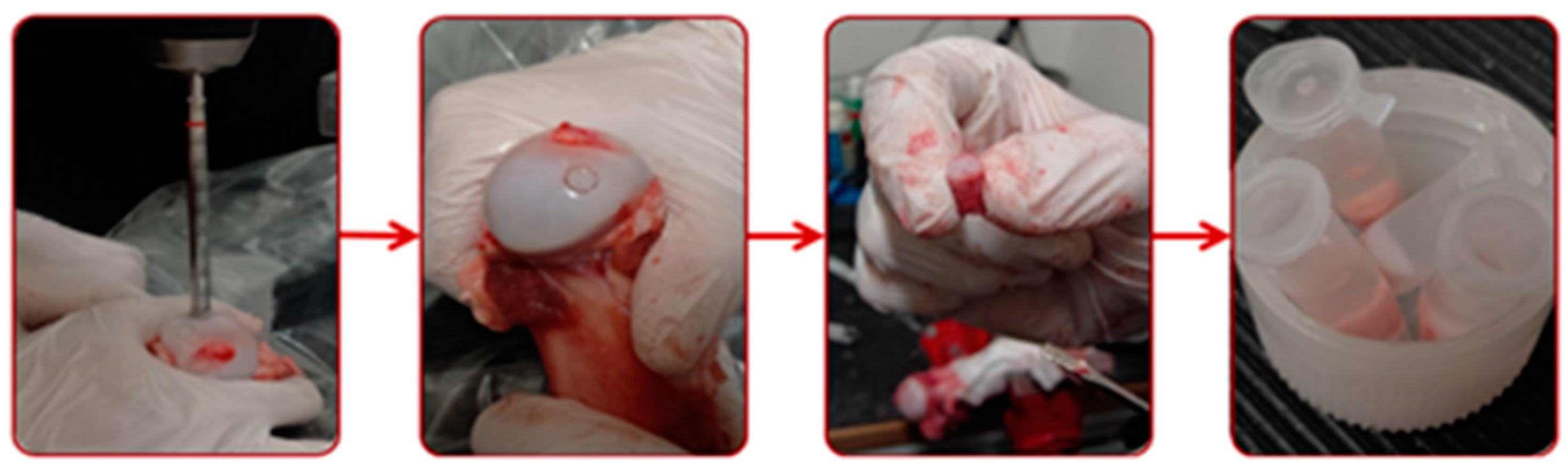 Materials 13 02075 g004