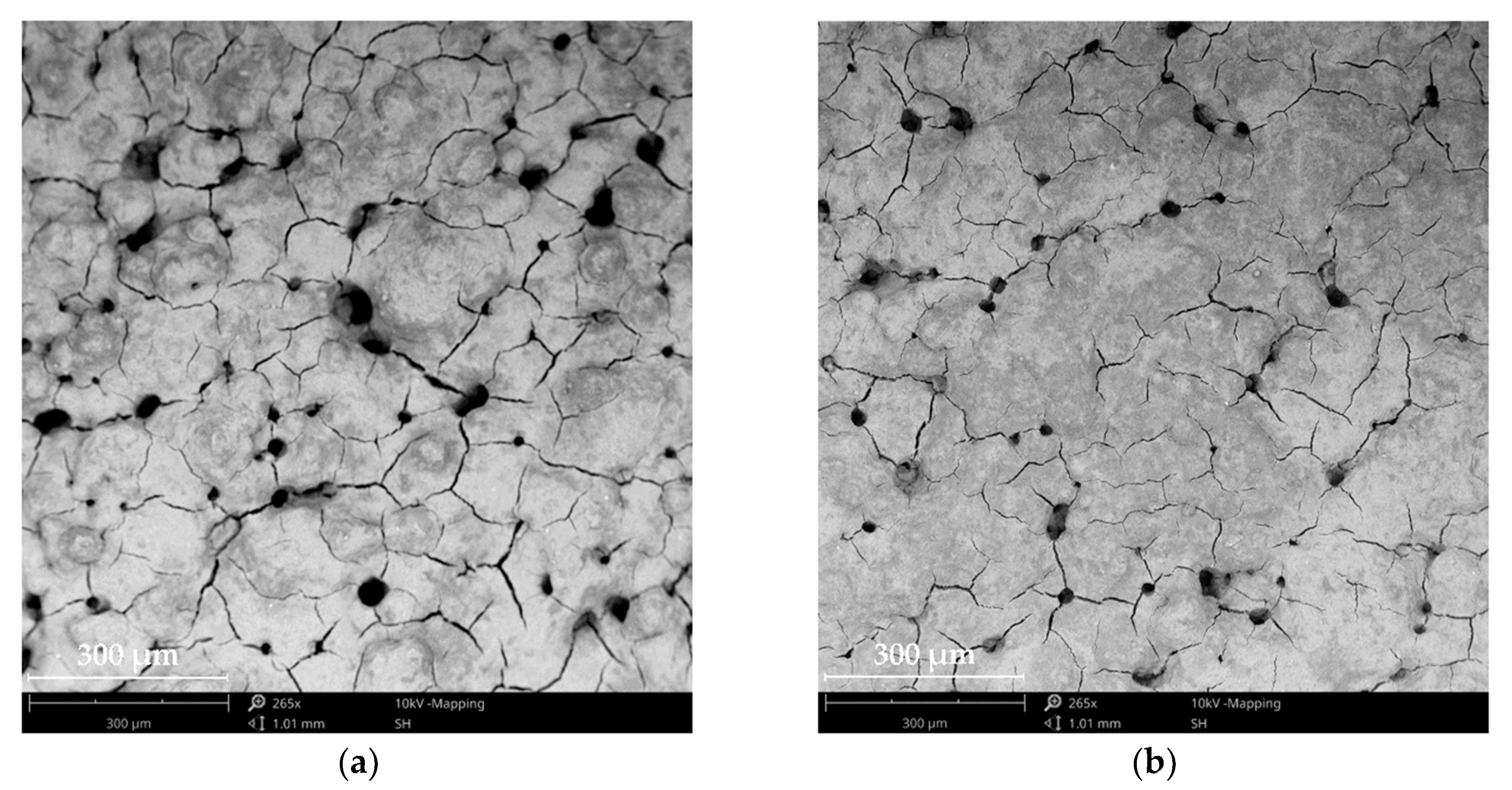 Materials 13 02096 g004