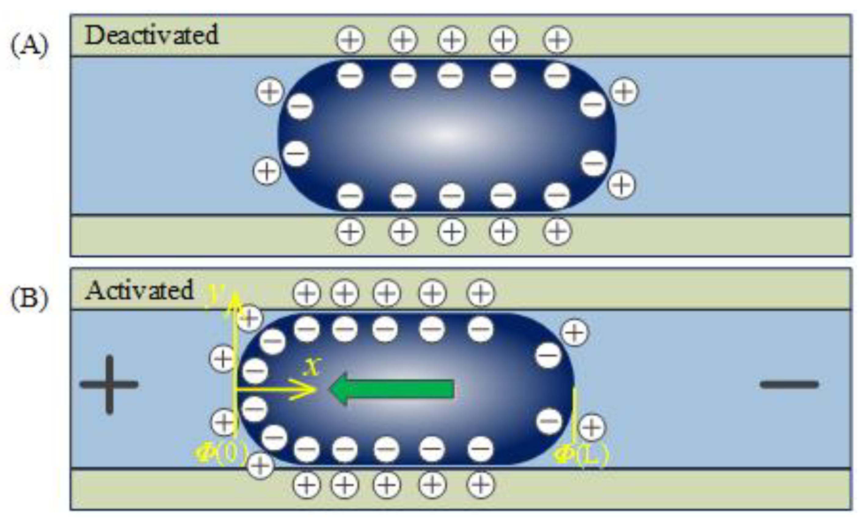 Materials 13 02122 g002 Materials 13 02122 g002