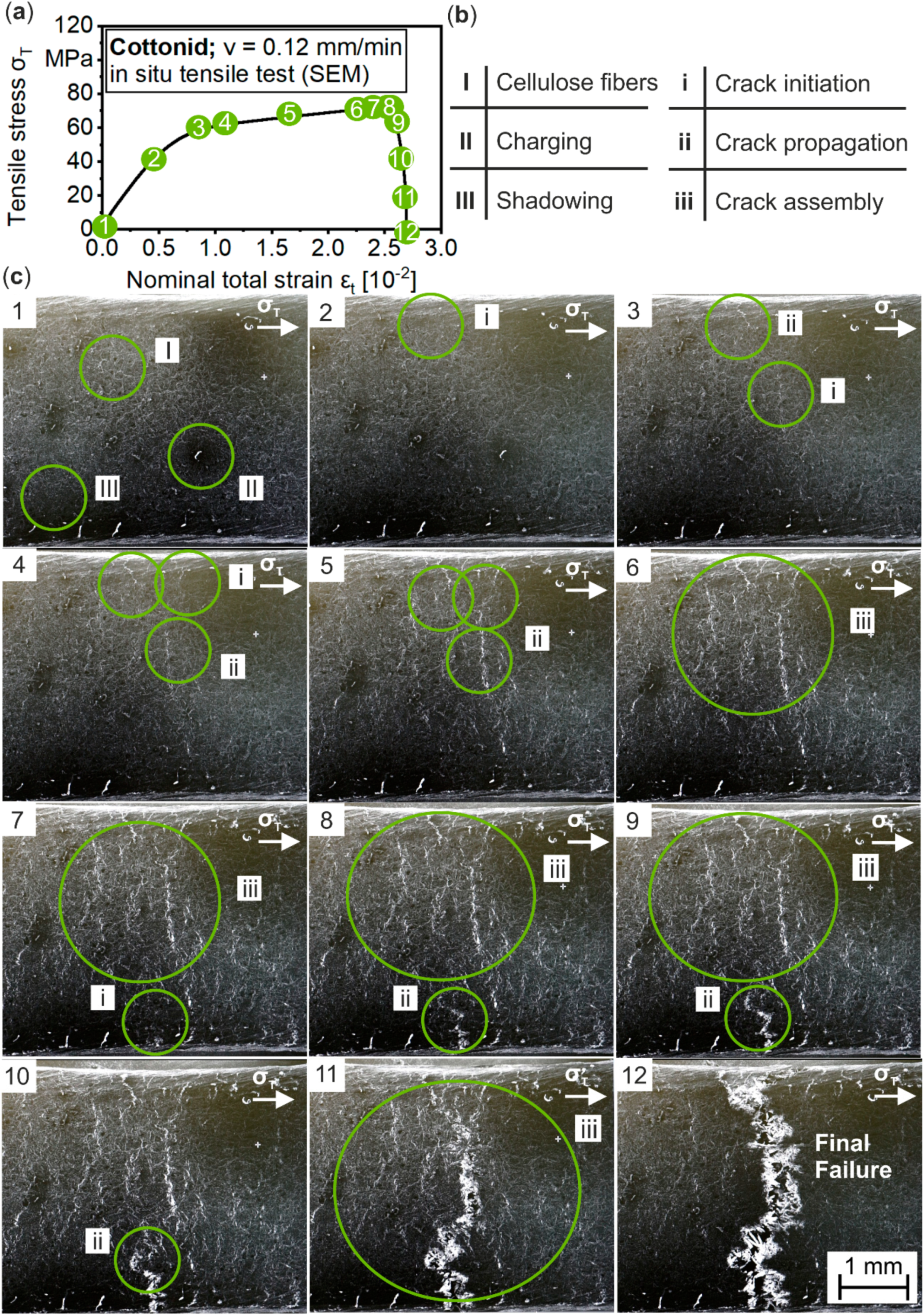 Materials 13 02180 g008